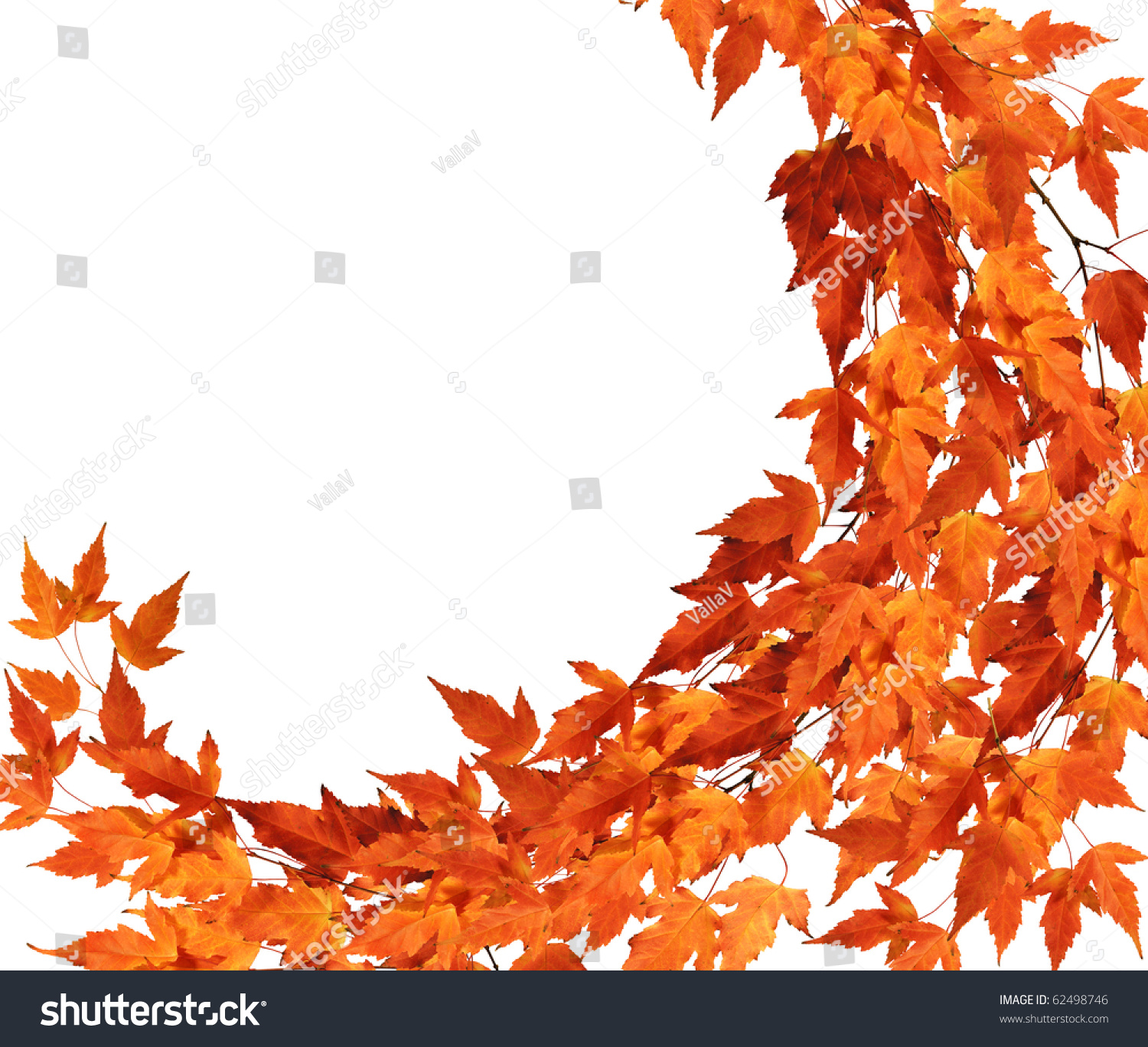 Branch With Autumn Leaves Stock Photo 62498746 : Shutterstock