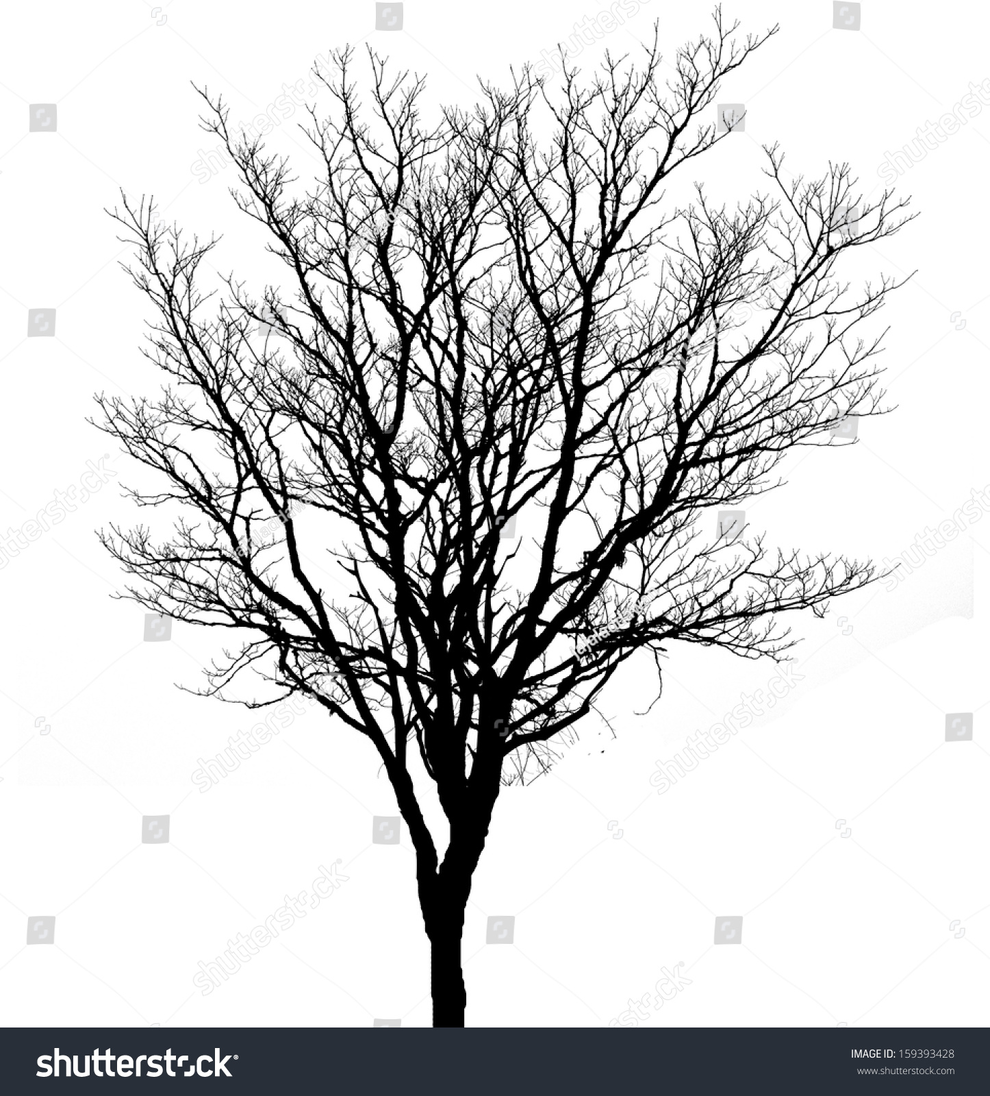 Branches Dead Tree Silhouette On White Stock Photo 159393428 - Shutterstock