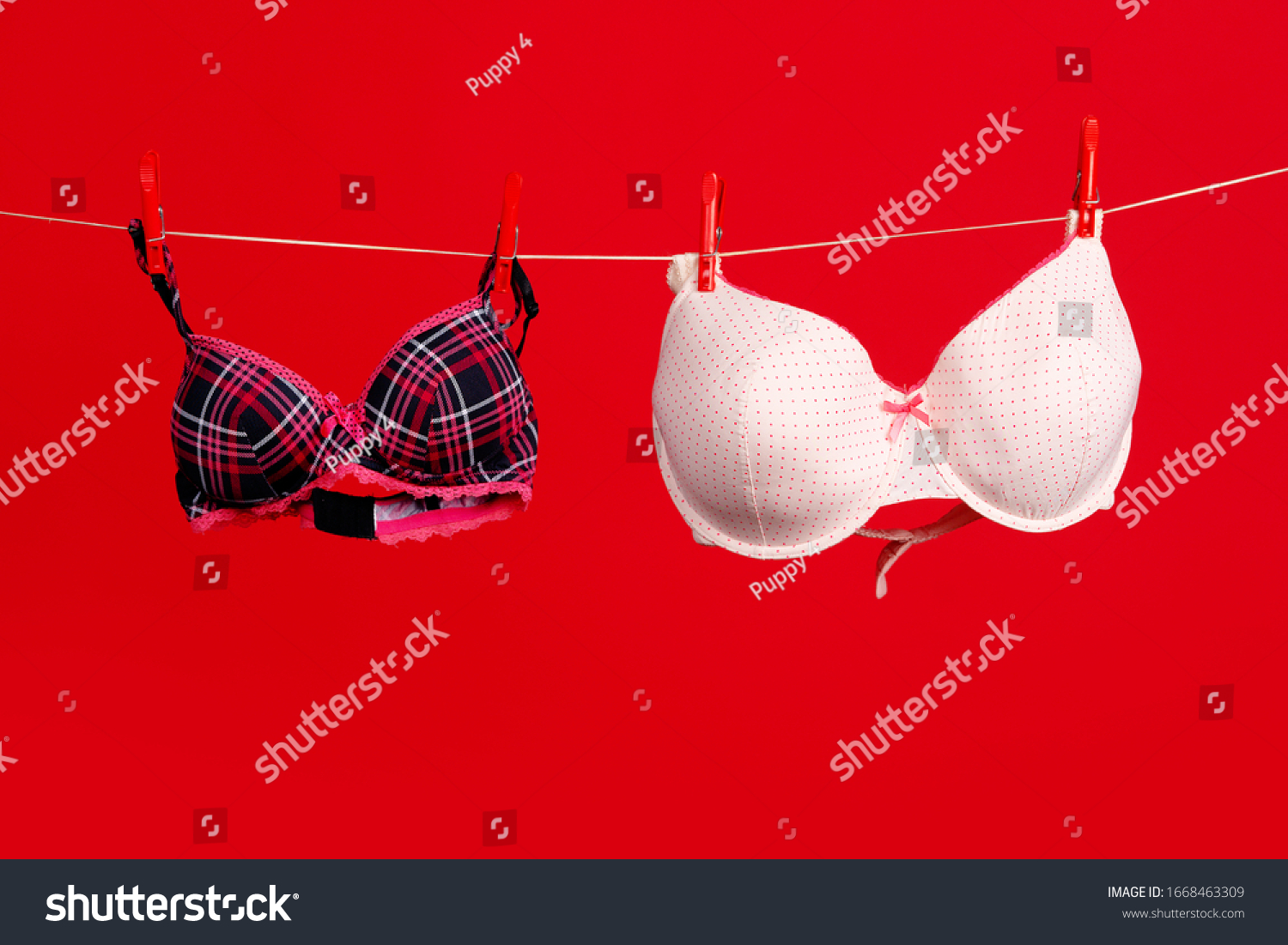 Breast Size Big Small Breasts Brassiere Stock Photo 1668463309 breast-size-big-small-breasts-brassiere-stock-photo-1668463309
