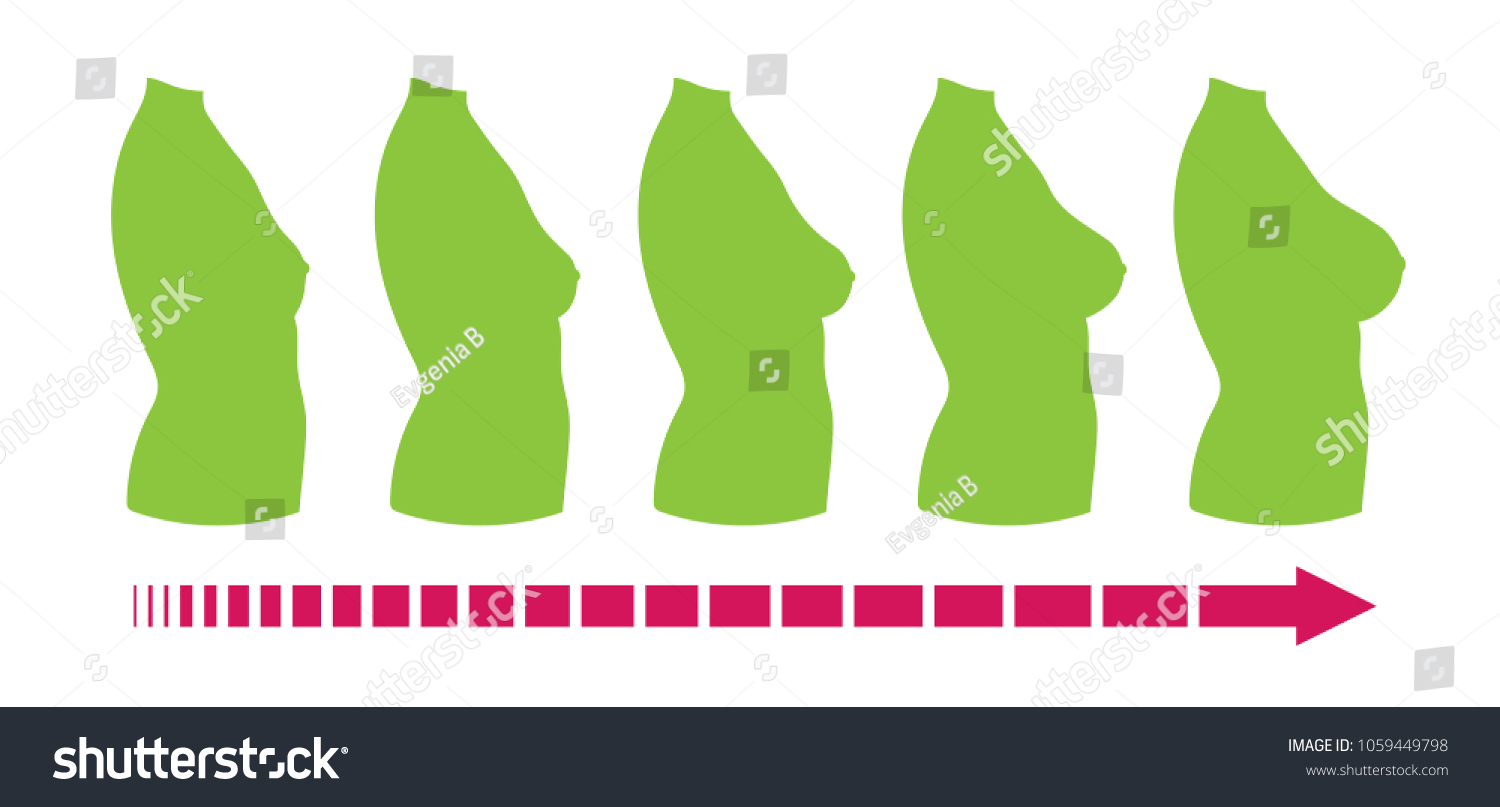 Ilustrasi Stok Breast Size Female Body Silhouette Side 1059449798