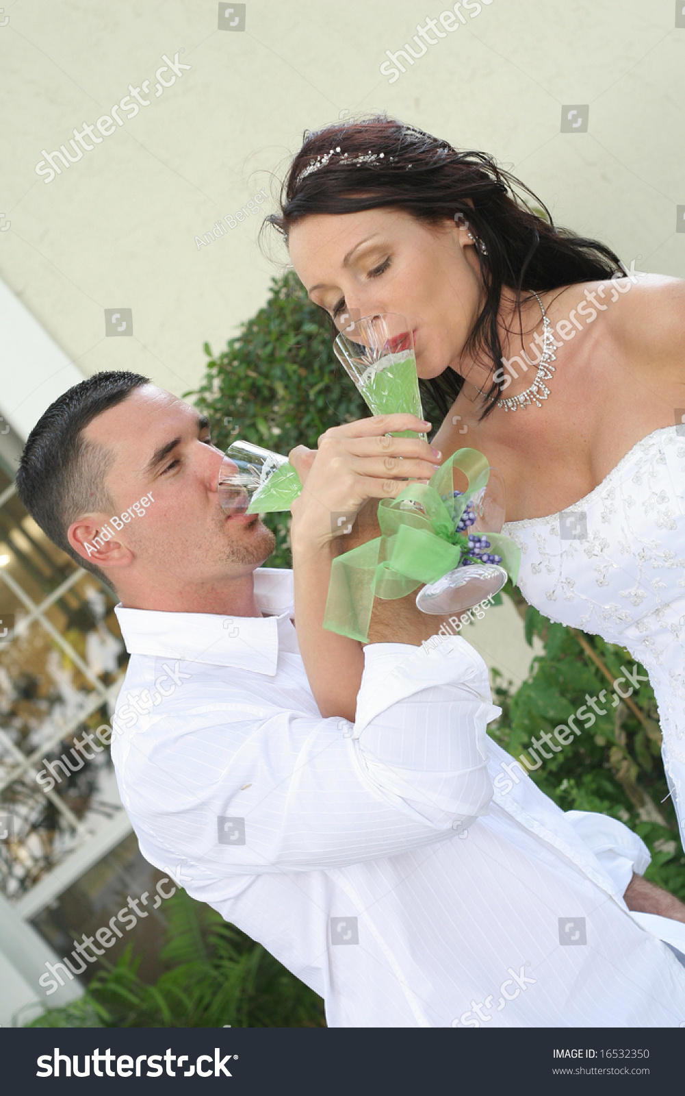 Bride Groom Toast Vertical Stock Photo Edit Now 16532350