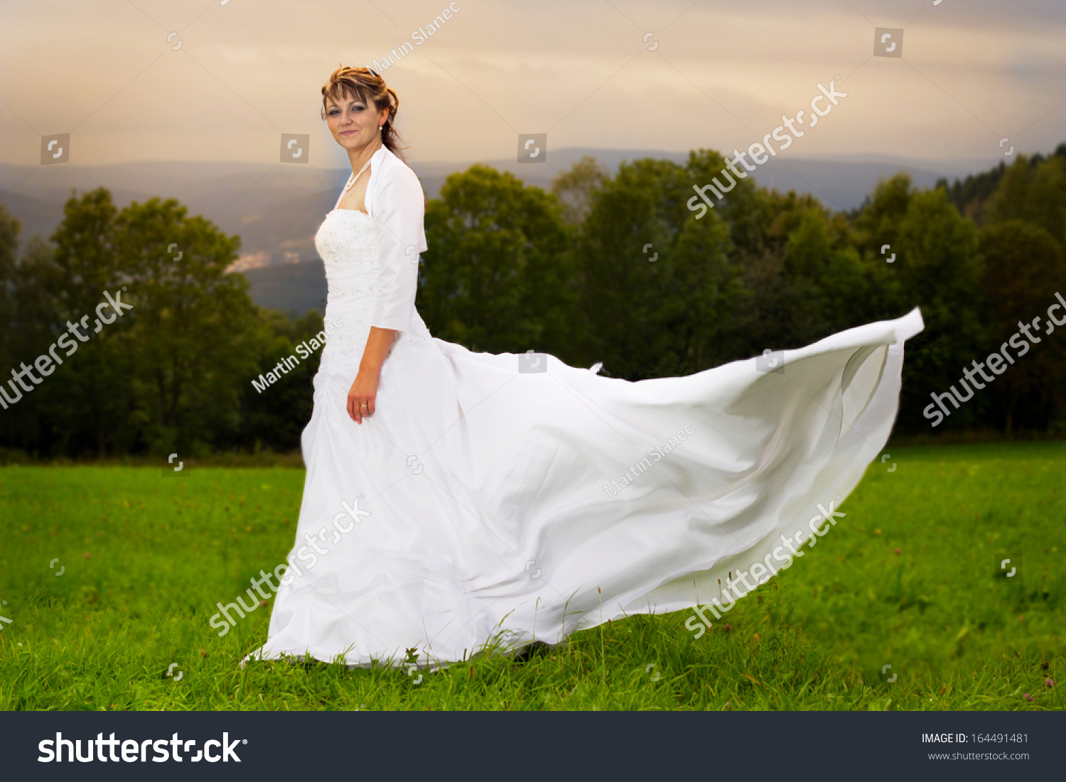 Bride Wedding Dress On Green Meadow Stock Photo Edit Now 164491481