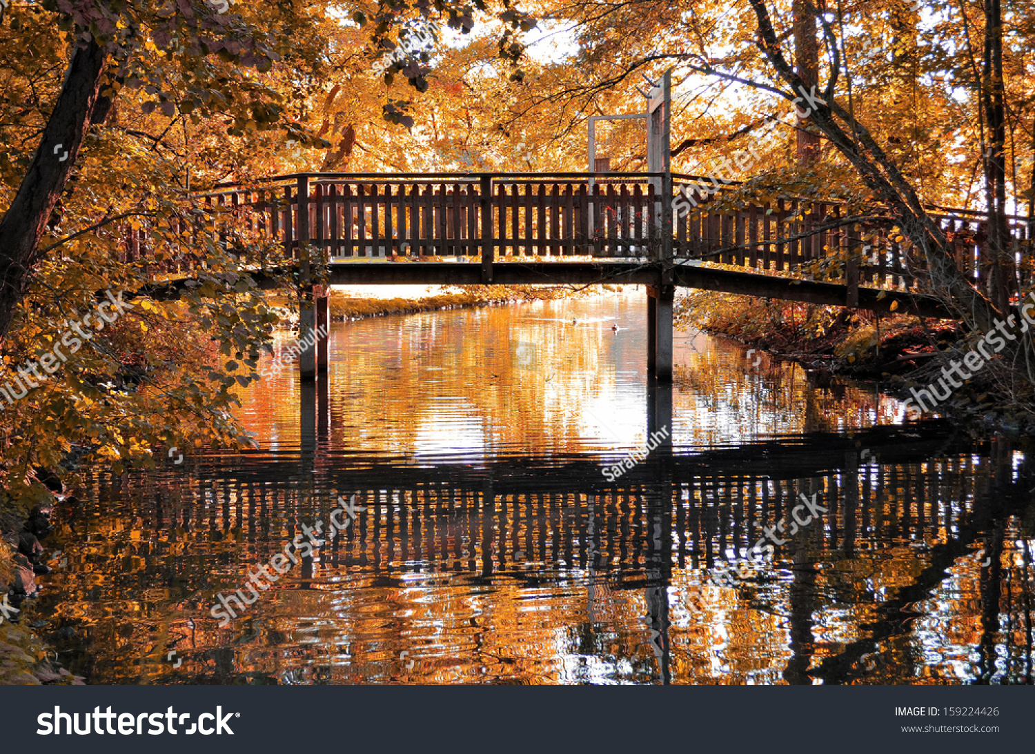 Bridge Stock Photo 159224426 : Shutterstock