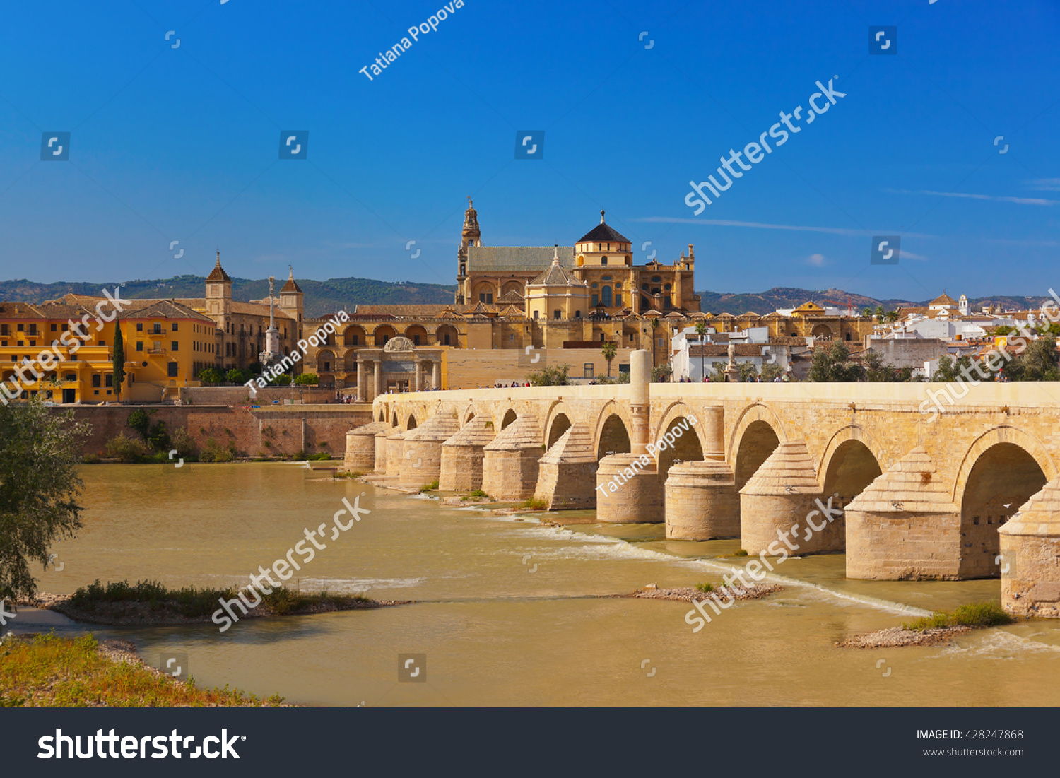 Bridge Cordoba Spain Architecture Background Stock Photo (Edit Now) 428247868