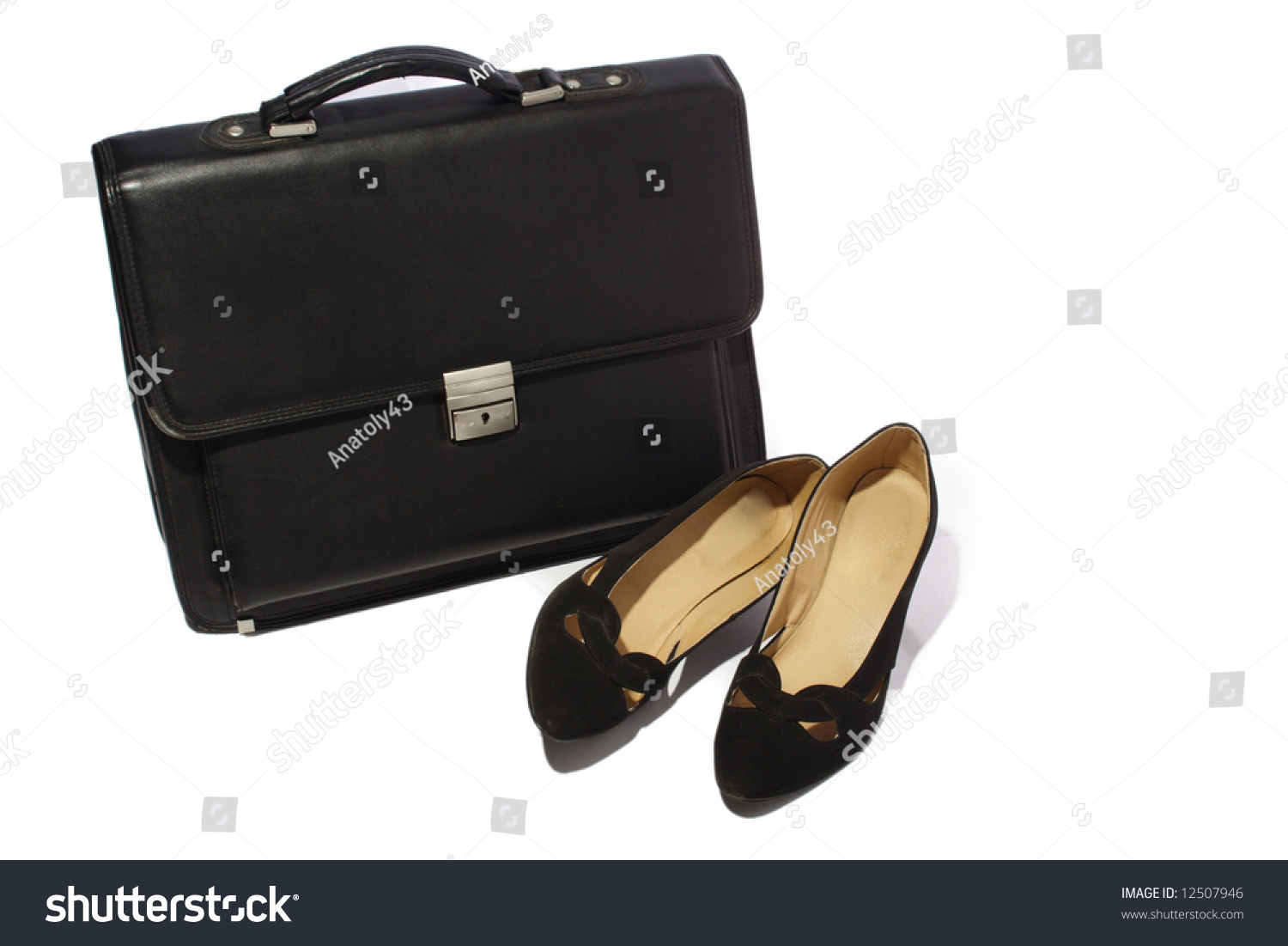 feminine briefcase