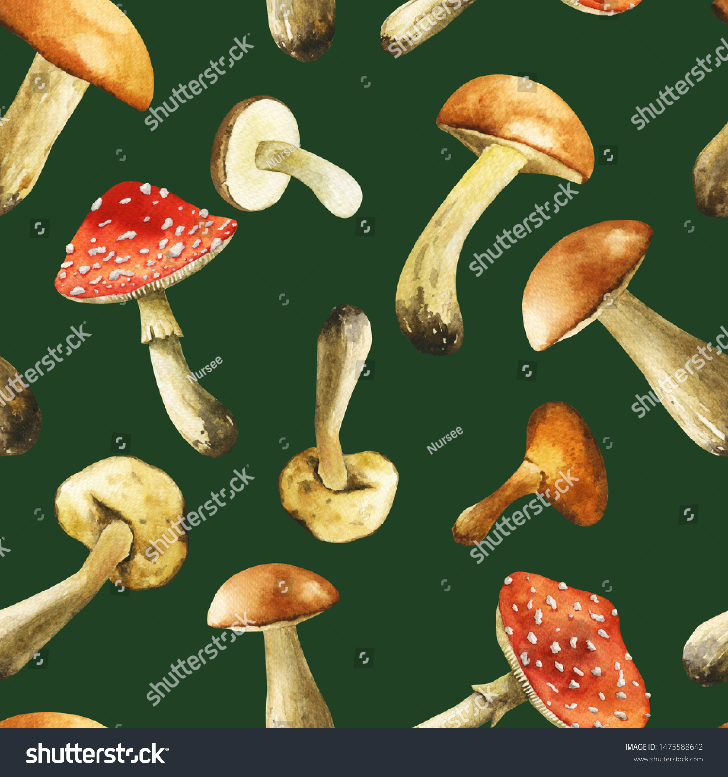 Featured image of post Realistic Mushroom Drawing Color