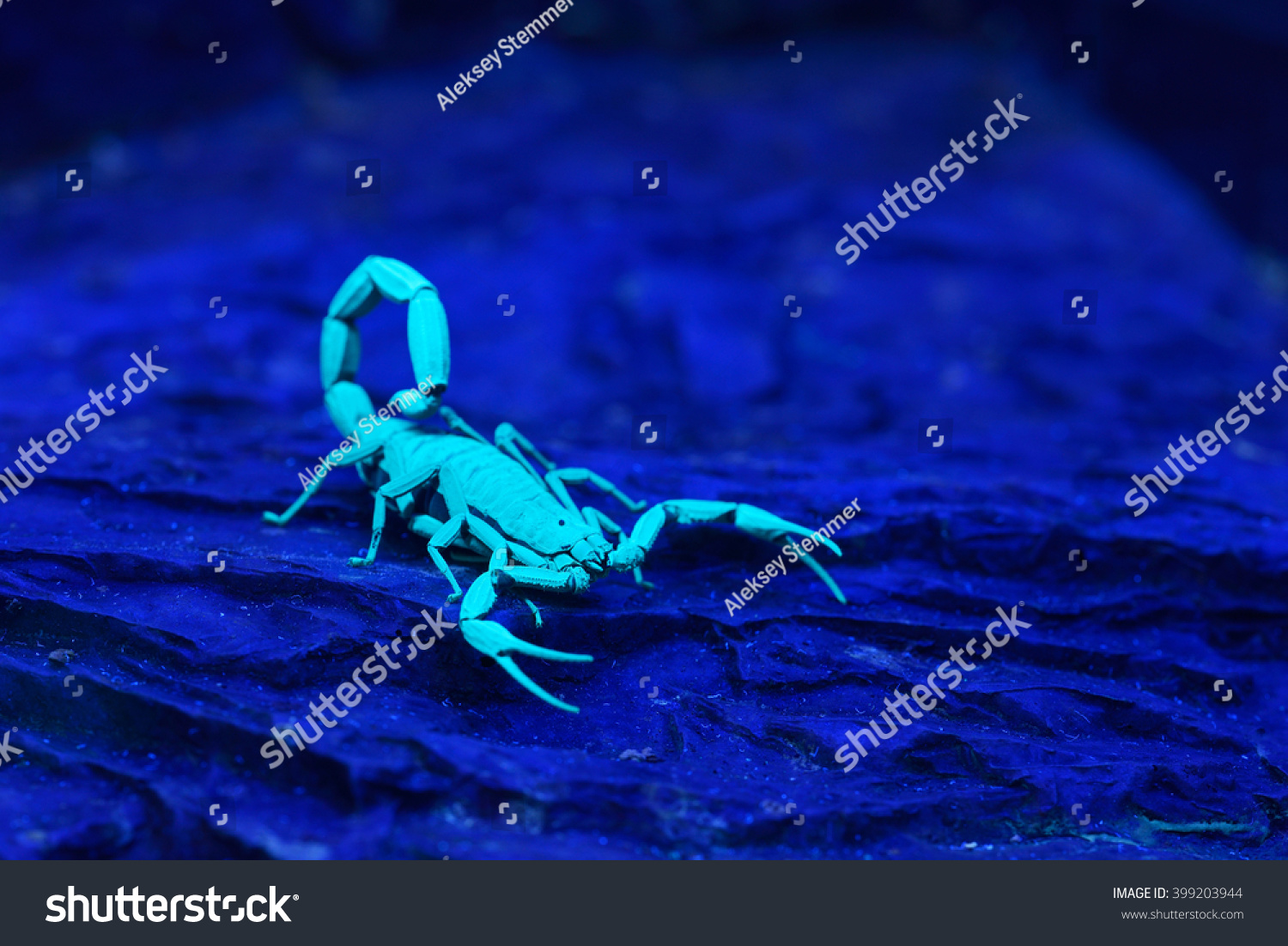 Scorpion Crossbrille 2017 Blau