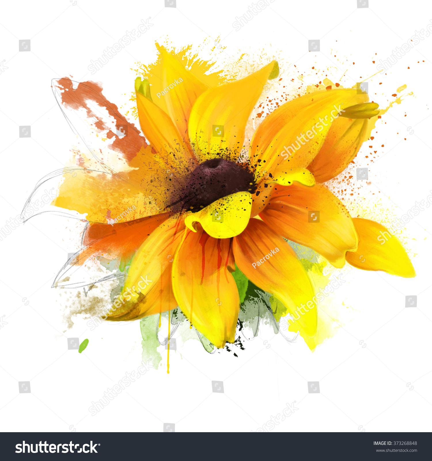 Bright Watercolor Illustration Sunflower Spray Paint Stock Illustration ...