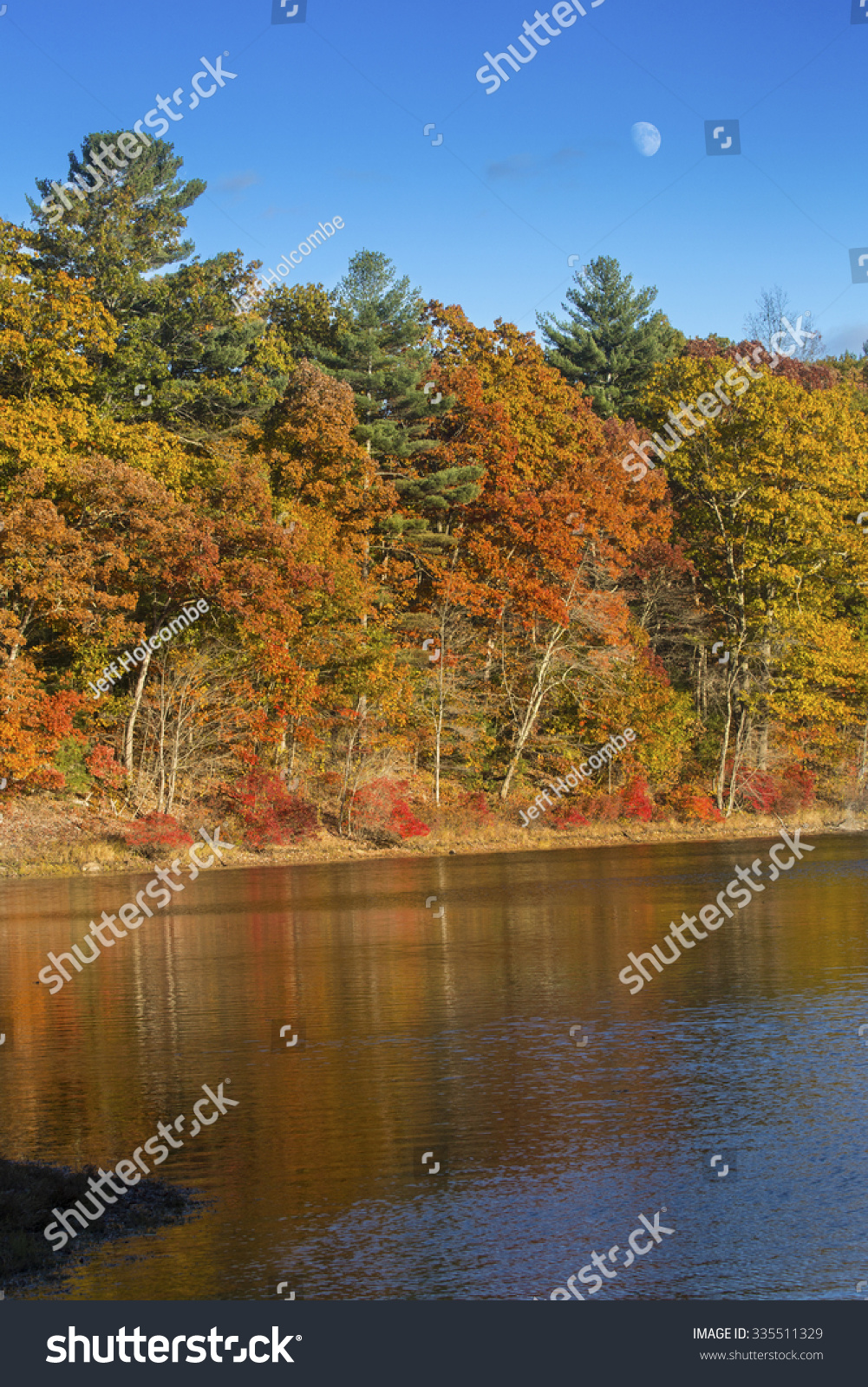 Brilliant Fall Foliage On Shoreline Mansfield Stock Photo 335511329 ...