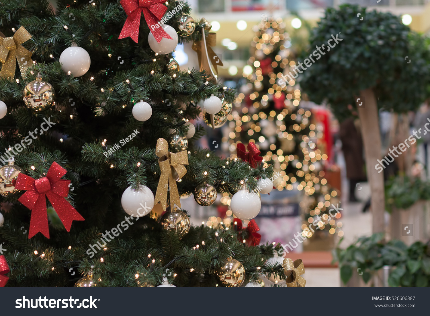 brnoczech republicnovember 192016christmas tree brnoczech republicnovember 192016christmas tree