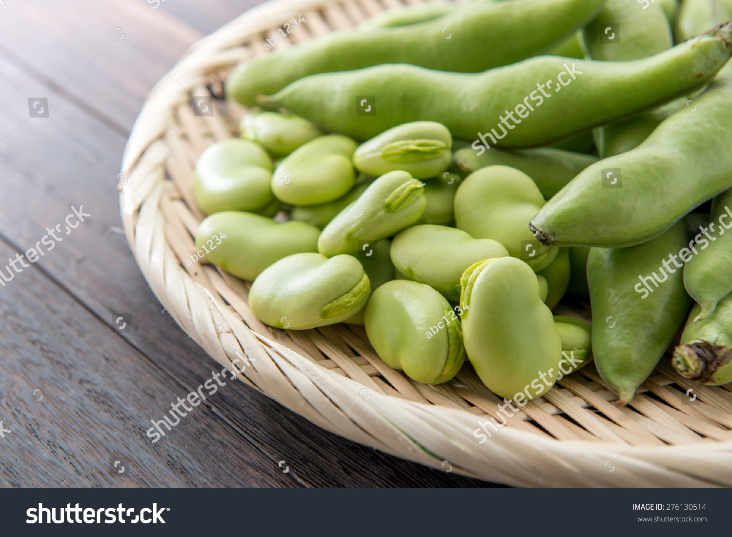 research paper on broad bean