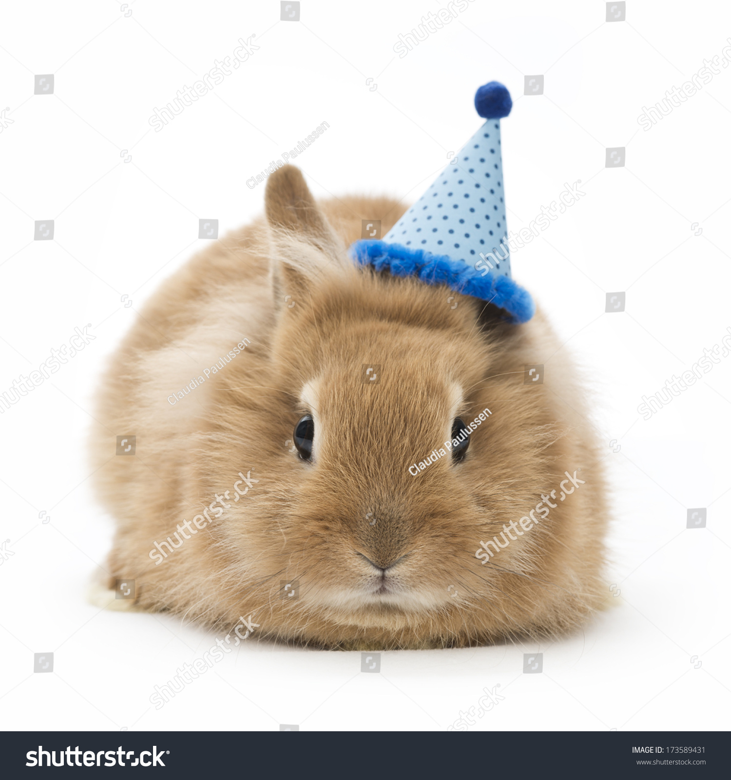 baby rabbit hat