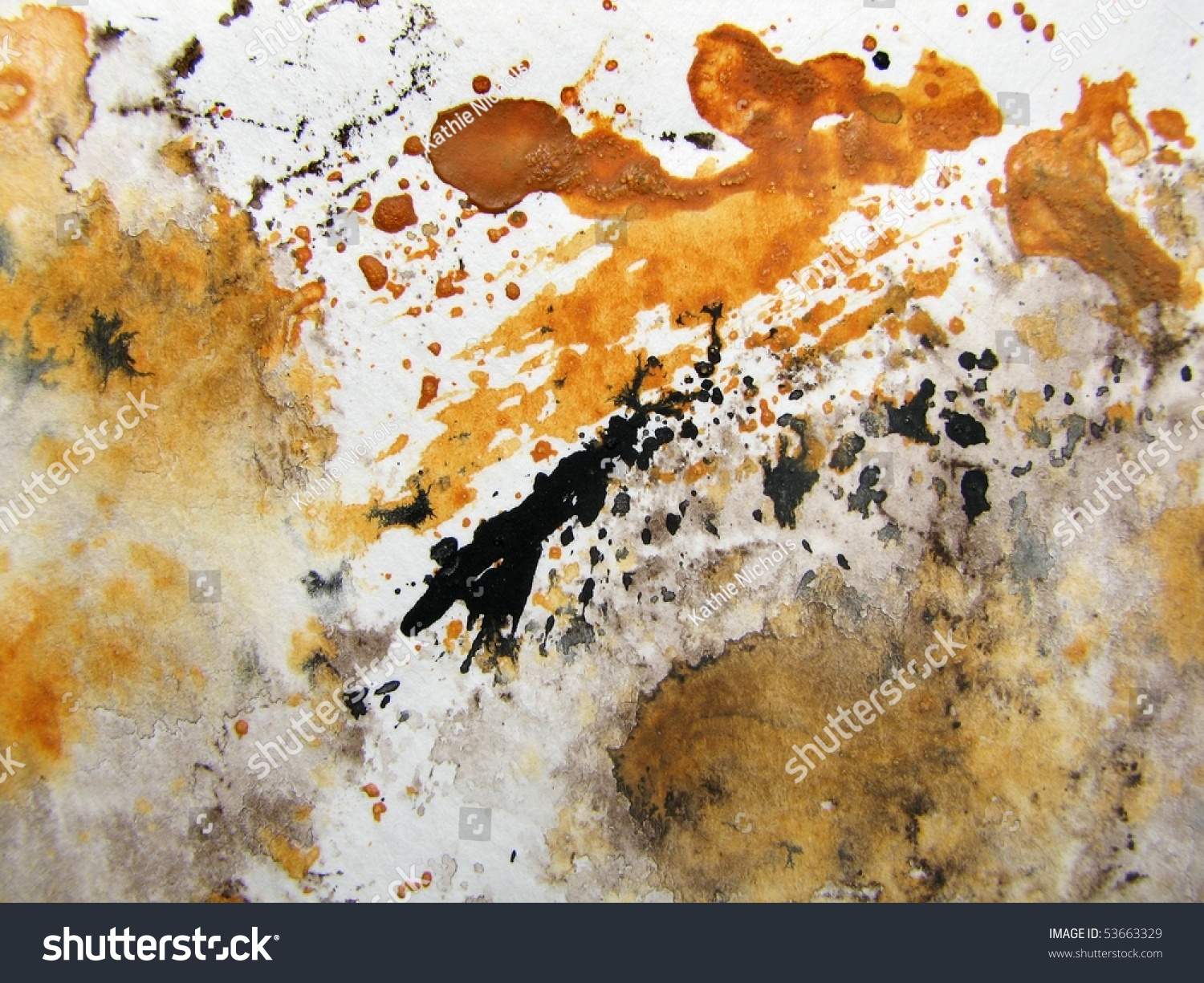 Brown Black And White Watercolor 7 Stock Photo 53663329 : Shutterstock