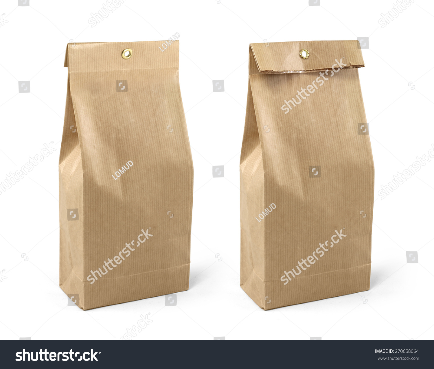 Brown Paper Bag Template