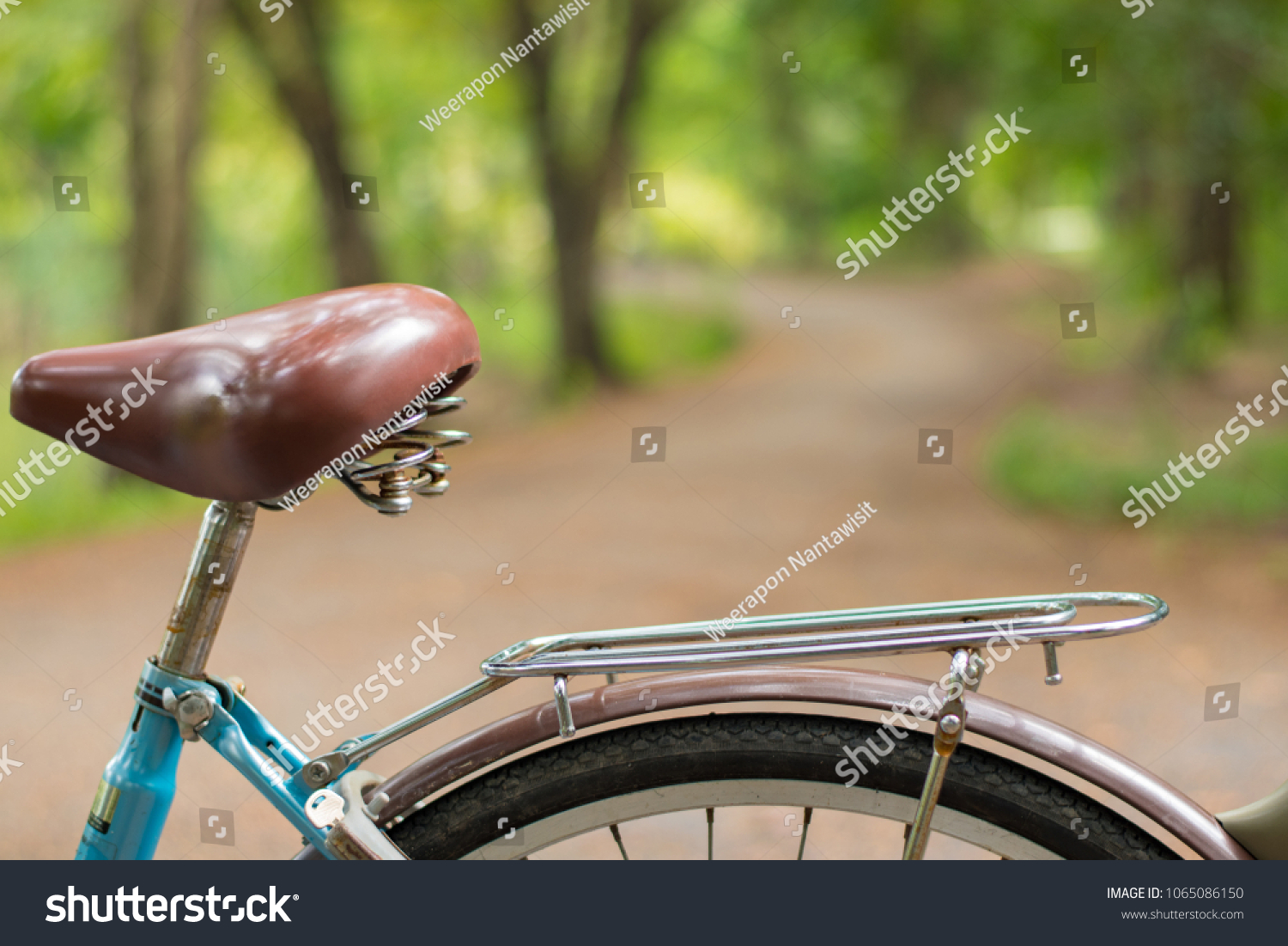 back seat of bike