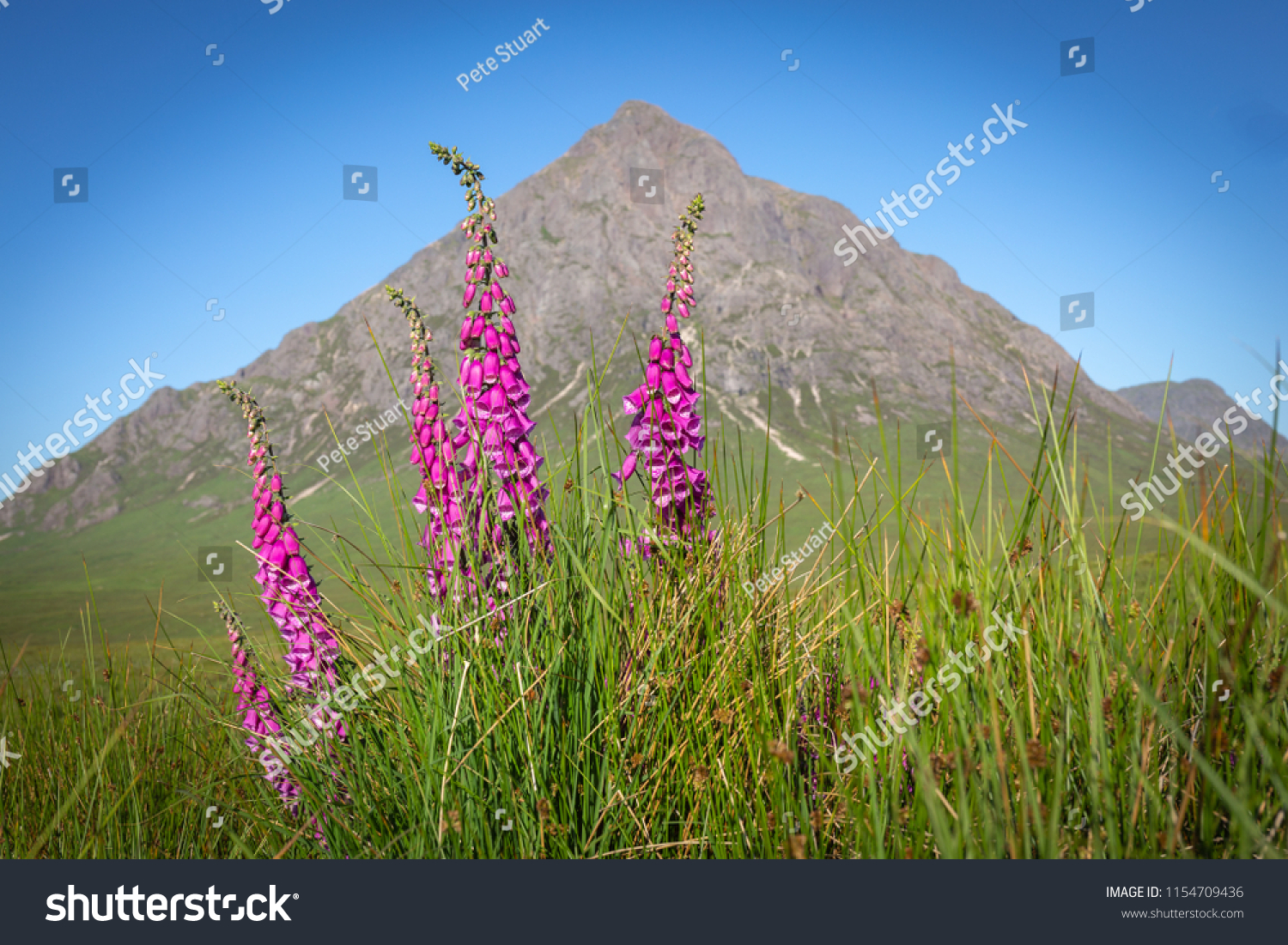 44 Herdsman glen Images, Stock Photos & Vectors | Shutterstock