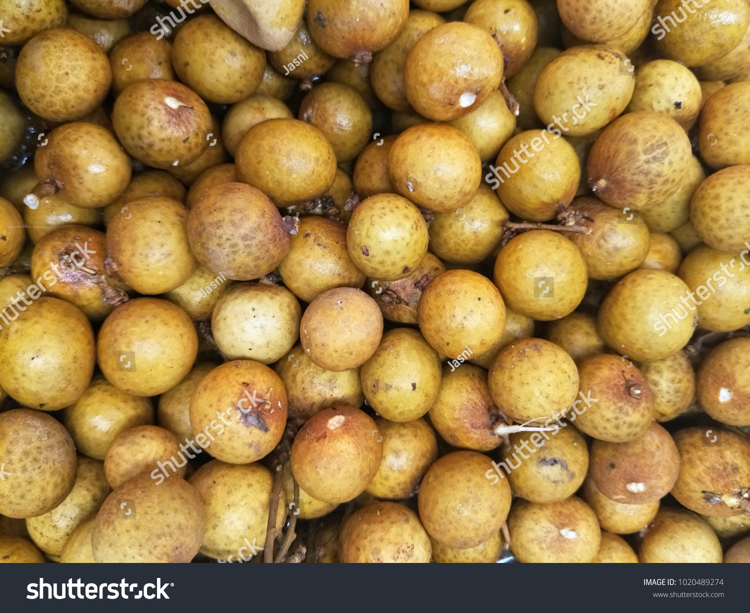 Buah Mata Kucing Known Longan Popular Stock Photo Edit Now 1020489274