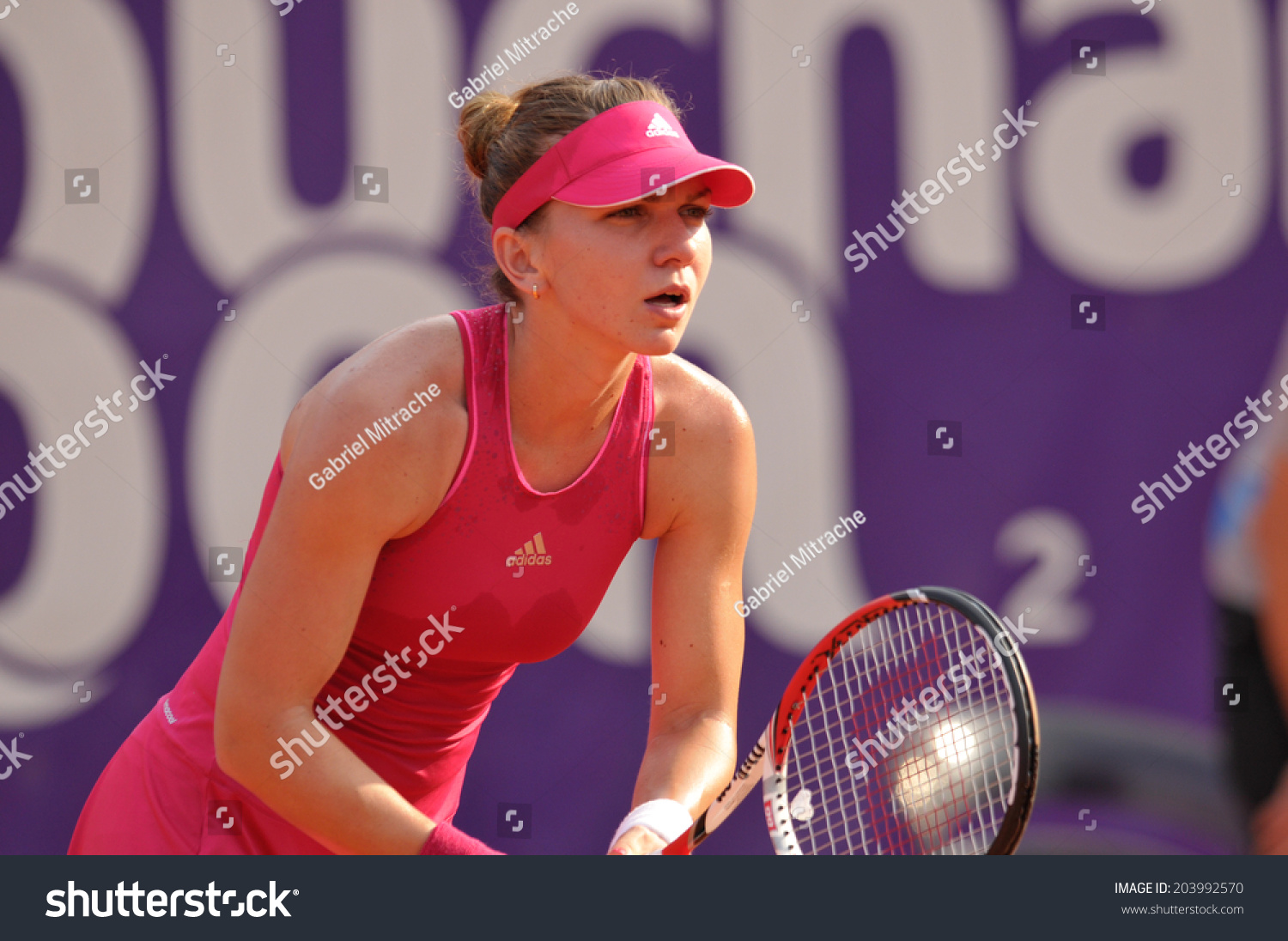 simona halep world Senior