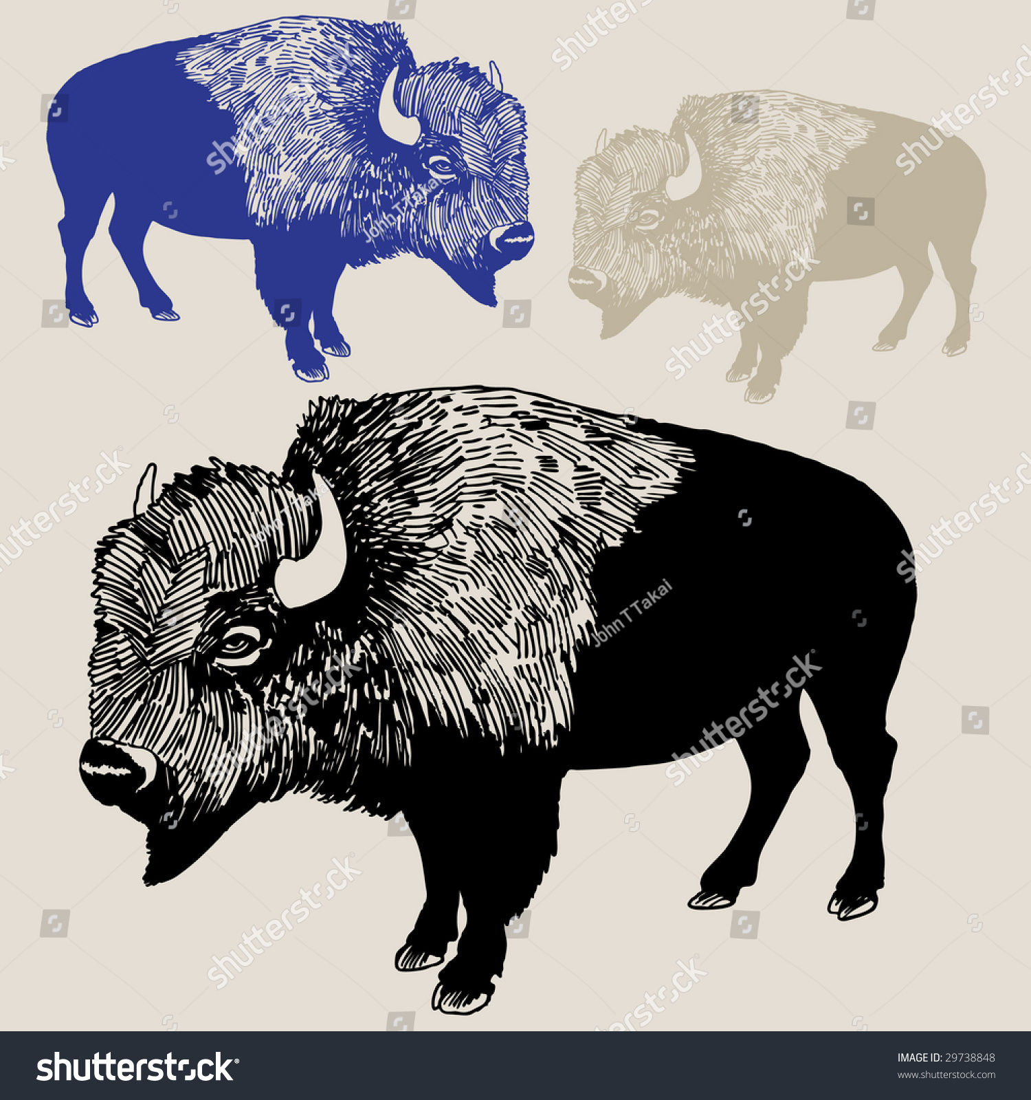  Buffalo Drawing Stock Illustration 29738848 - Shutterstock