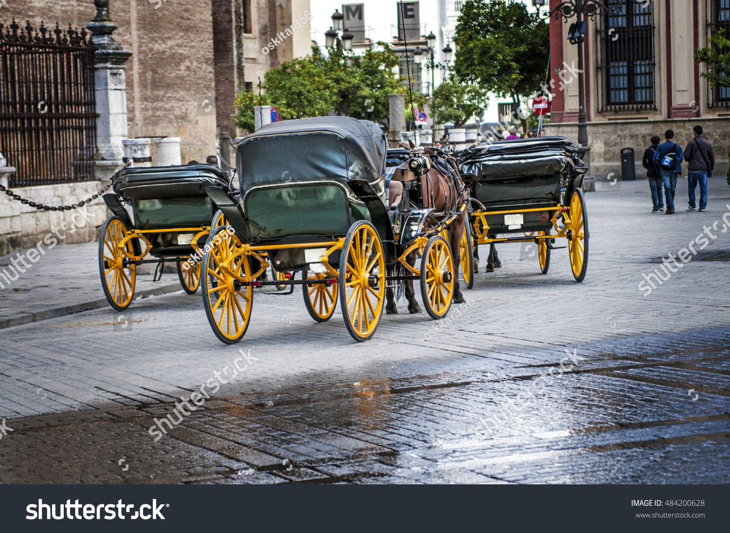 Miniature Horse Doctor S Buggy