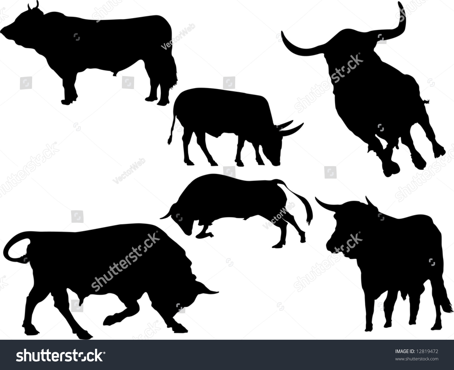 Bull Stock Photo 12819472 : Shutterstock