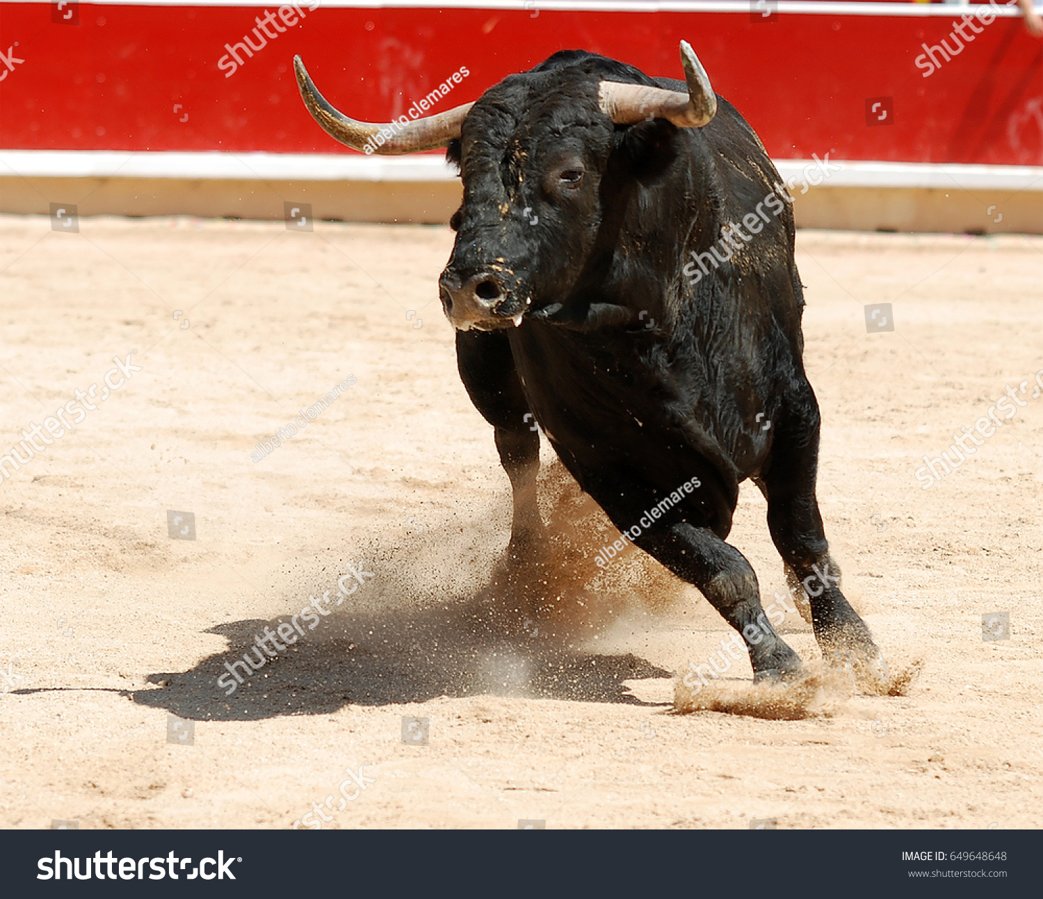 Bull Stock Photo 649648648 