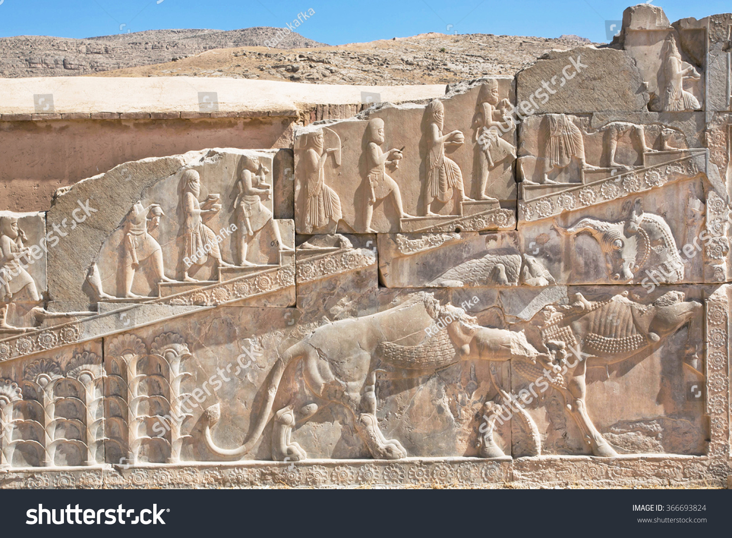 Bull Lion Fighting On Basrelief Persepolis Stock Photo 366693824