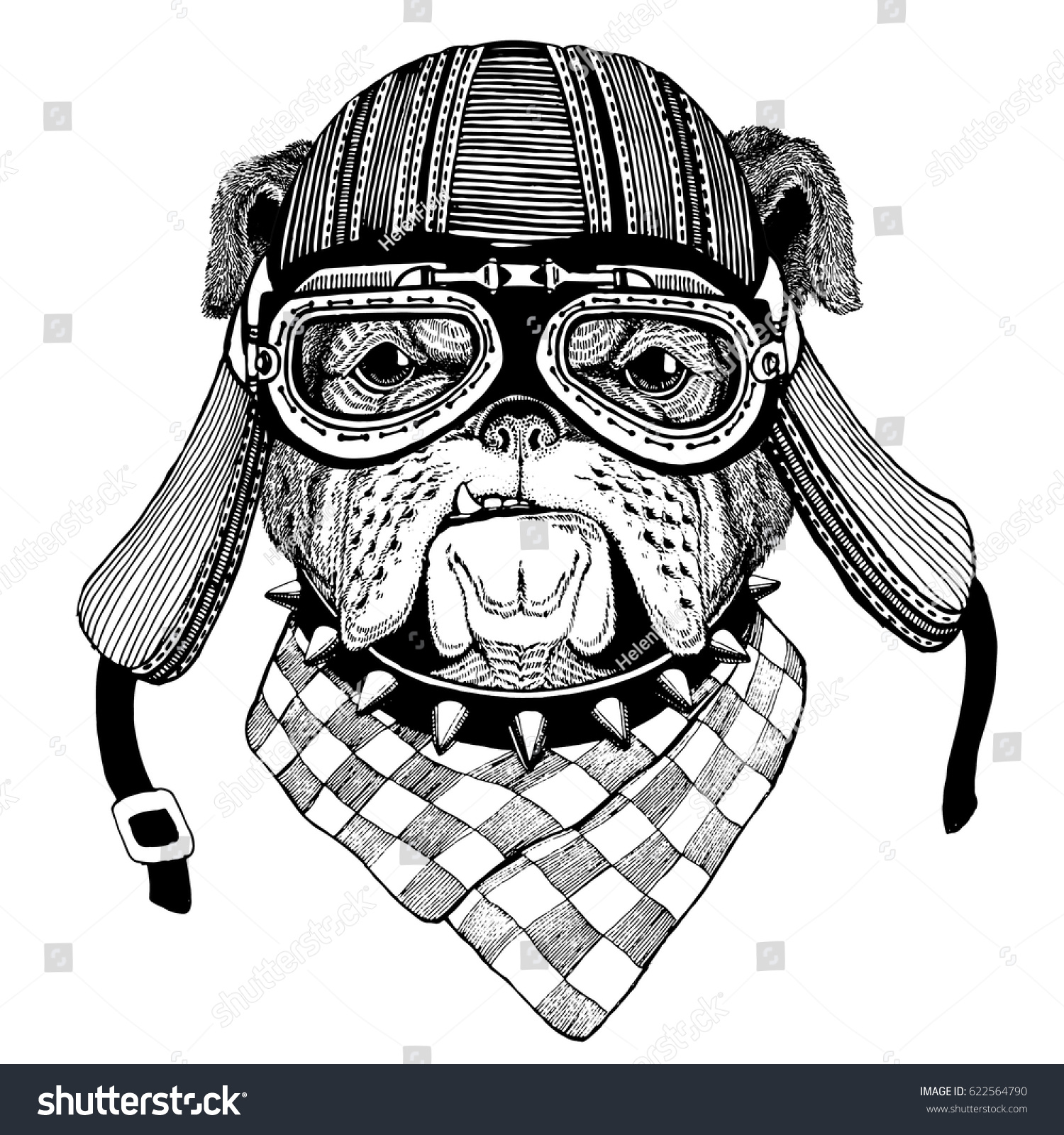 Bulldog Dog Hand Drawn Image Animal Stock Illustration 622564790