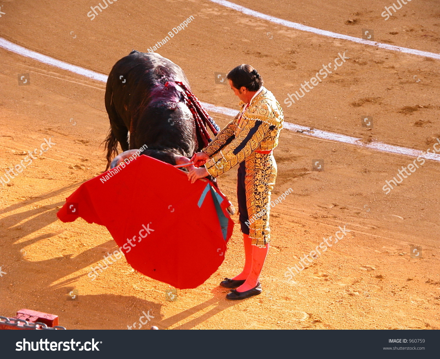 Bullfighter Red Cape Guides Bull Elegant Stock Photo Edit Now