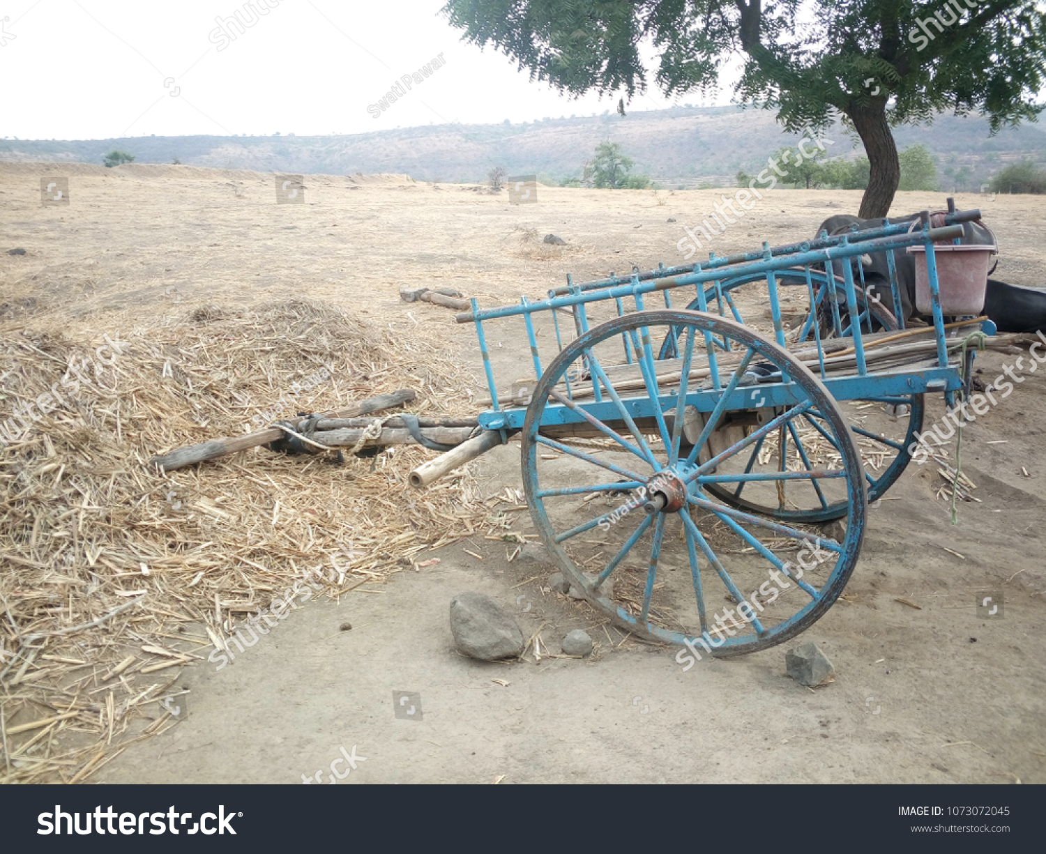 Bullock Cart Farm Showing Indian Farmers Stock Photo (Edit Now) 1073072045