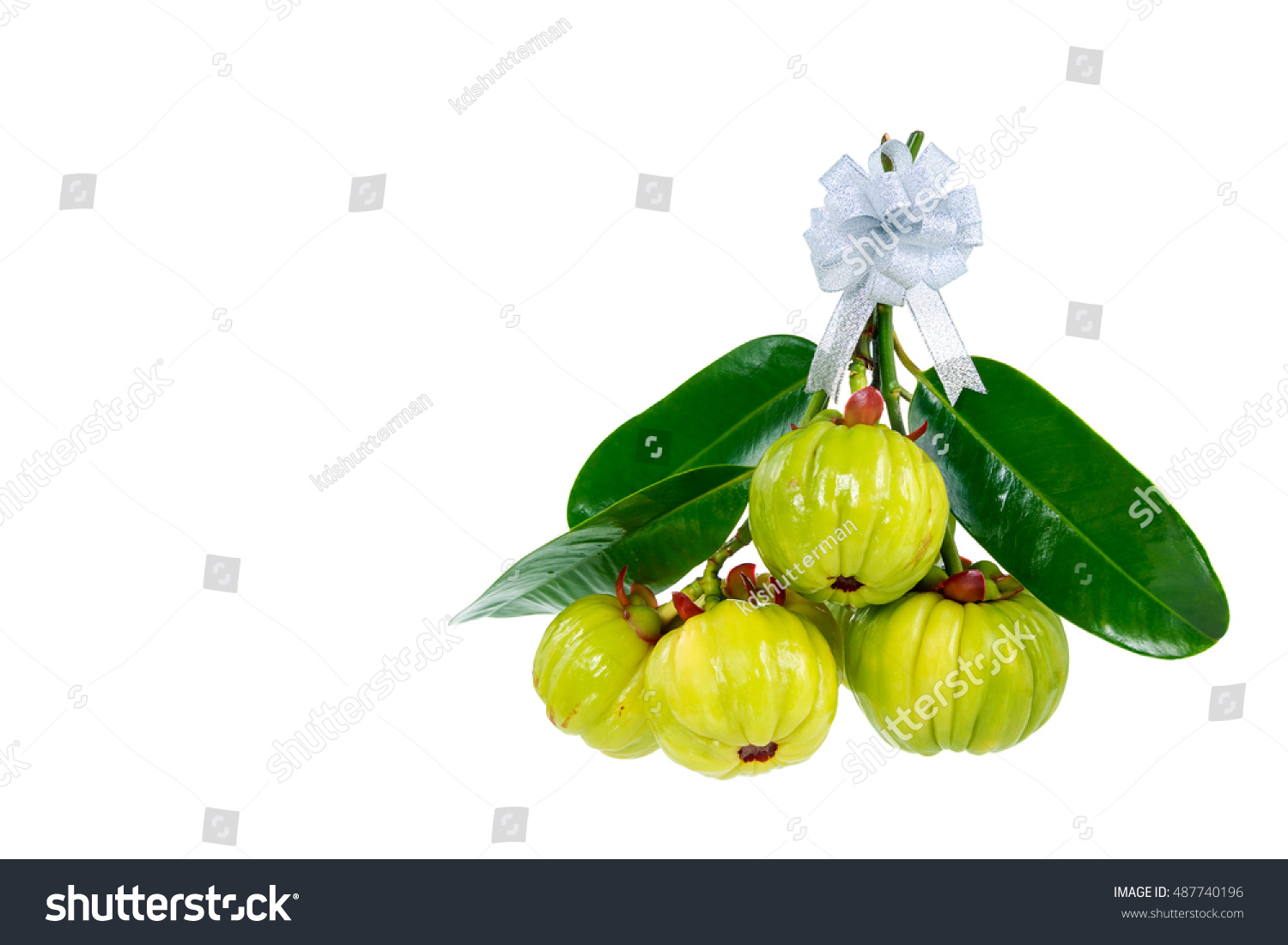 Lose weight daily menu image 8