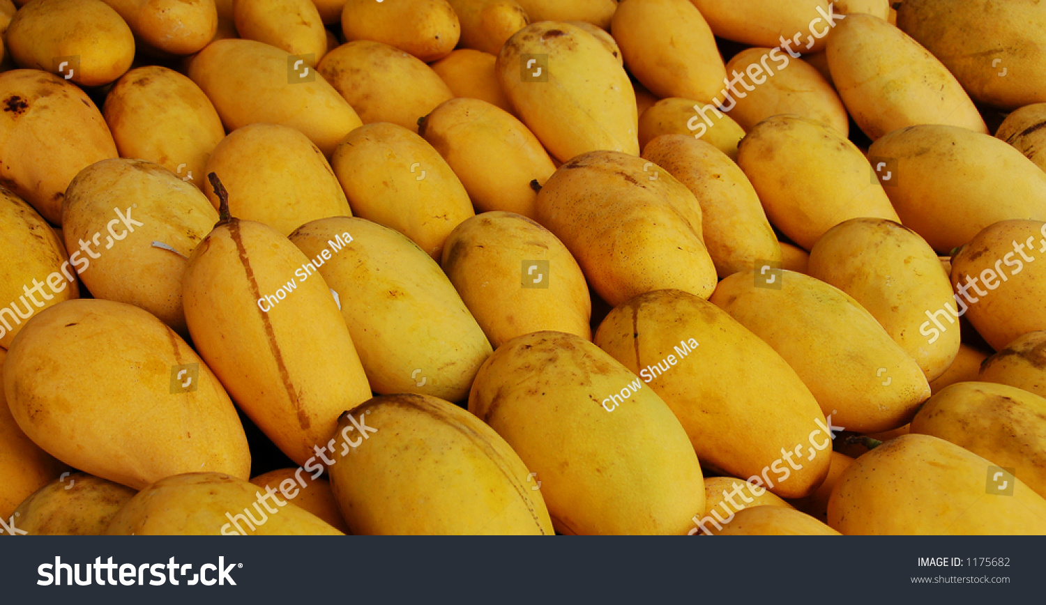 Download Bunch Yummy Yellow Mangoes More Images Stock Photo Edit Now 1175682 PSD Mockup Templates