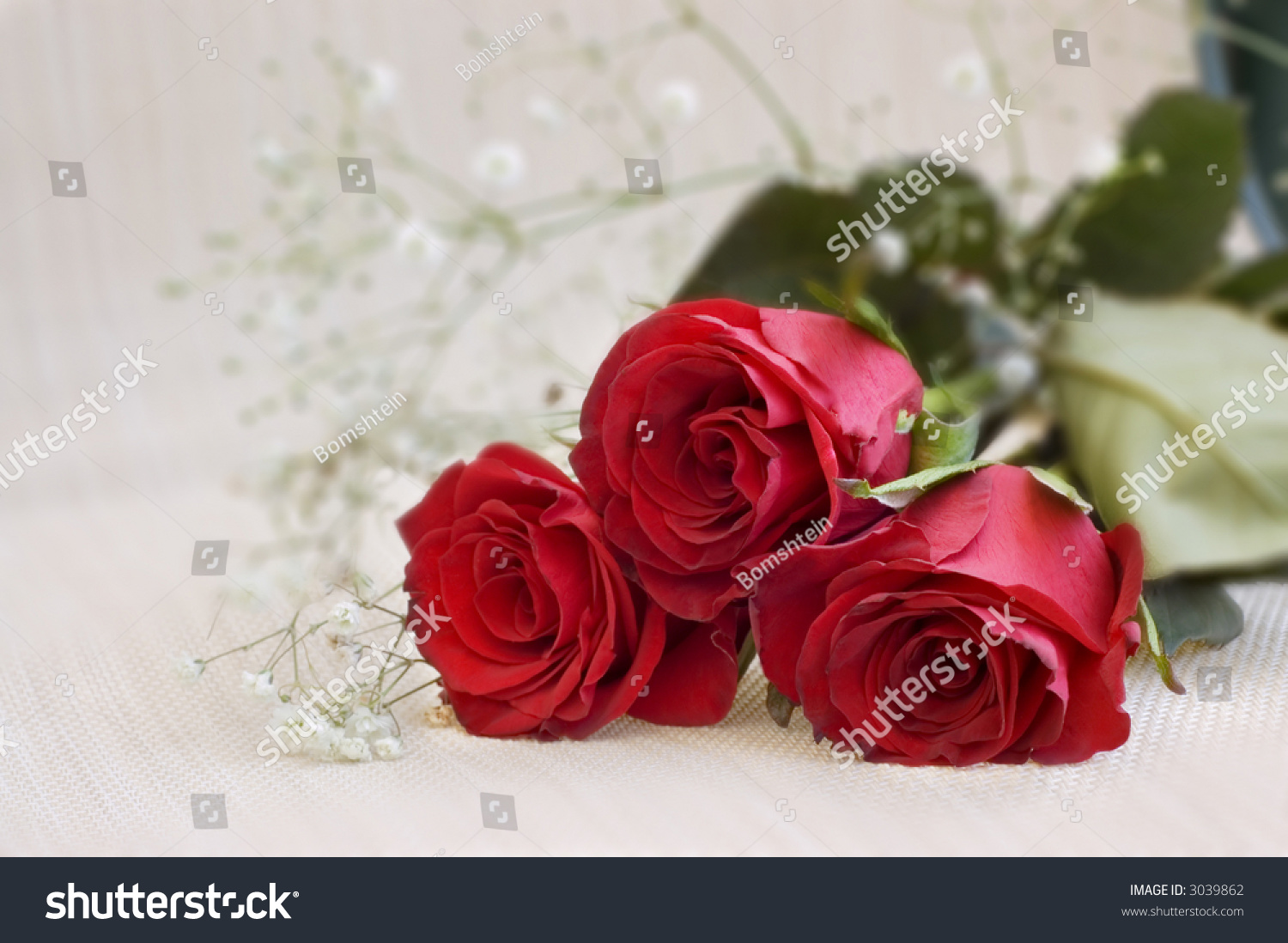 Bundle Of Red Roses Stock Photo 3039862 : Shutterstock