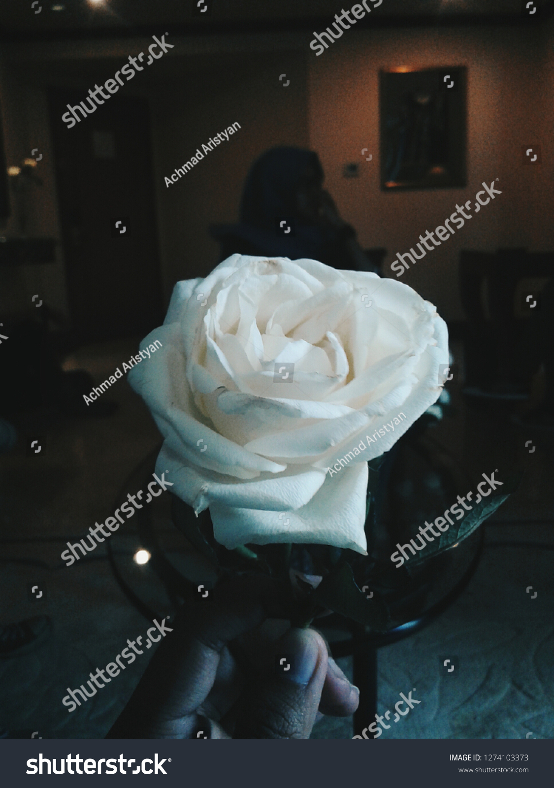 Bunga Mawar Putih Stock Photo Edit Now 1274103373