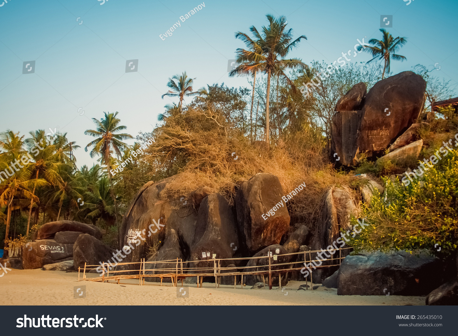 Bungalows on palolem beach india goa travel sea nature sun vacation