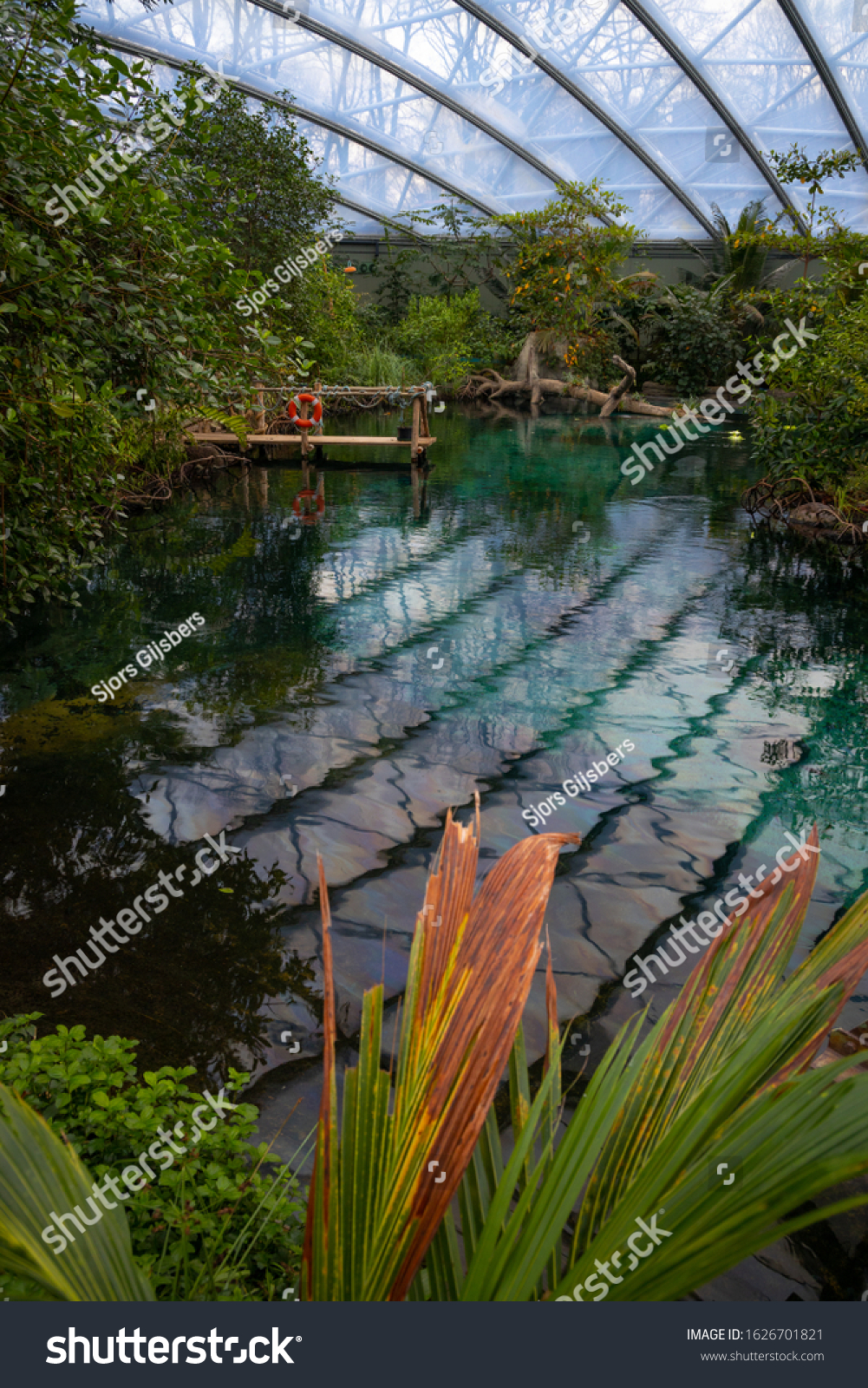 Burgers Zoo Arnhem Netherlands January 2020 Stock Photo Edit Now 1626701821