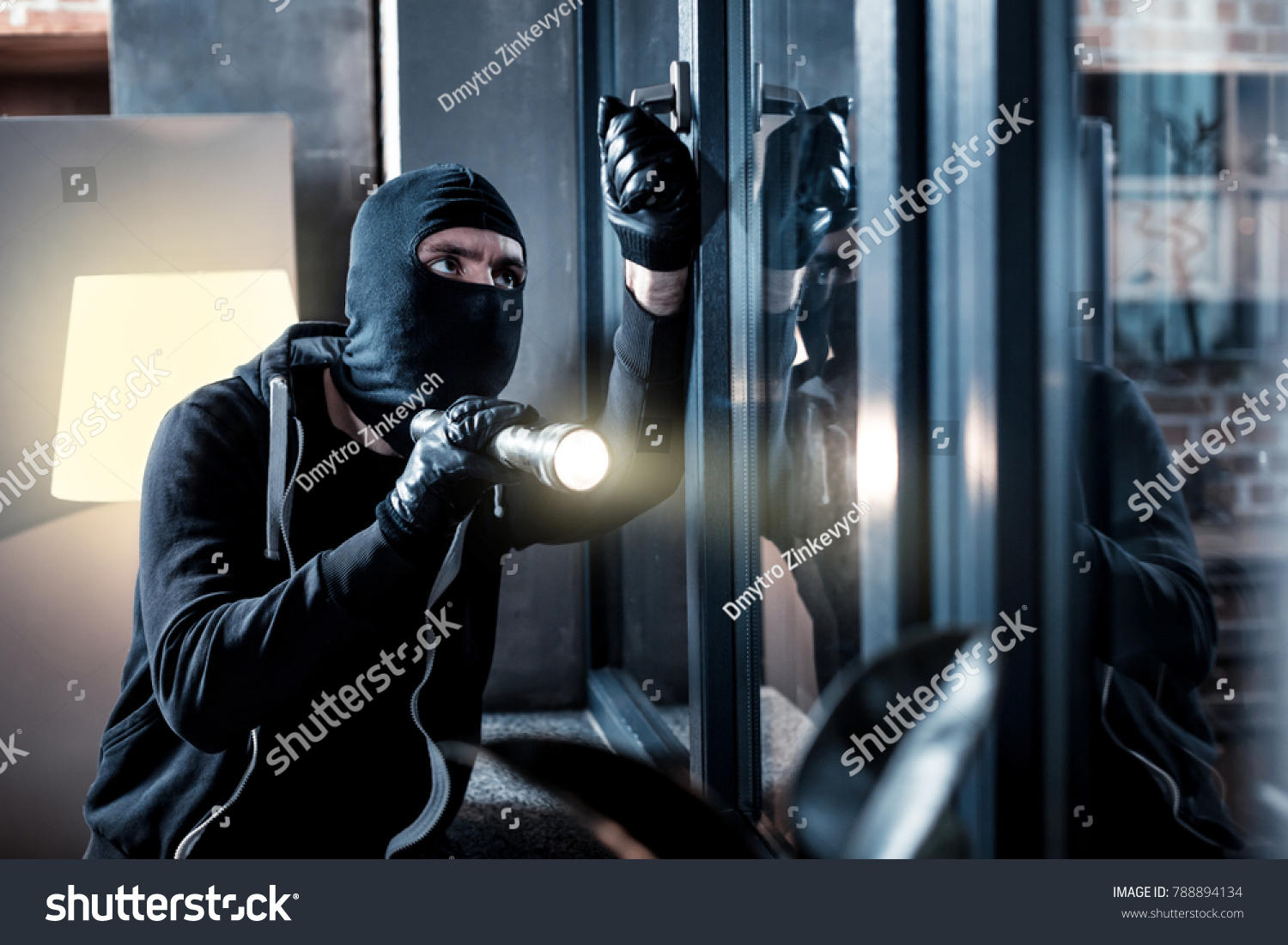 5,242 Burglar Windows Images, Stock Photos & Vectors | Shutterstock