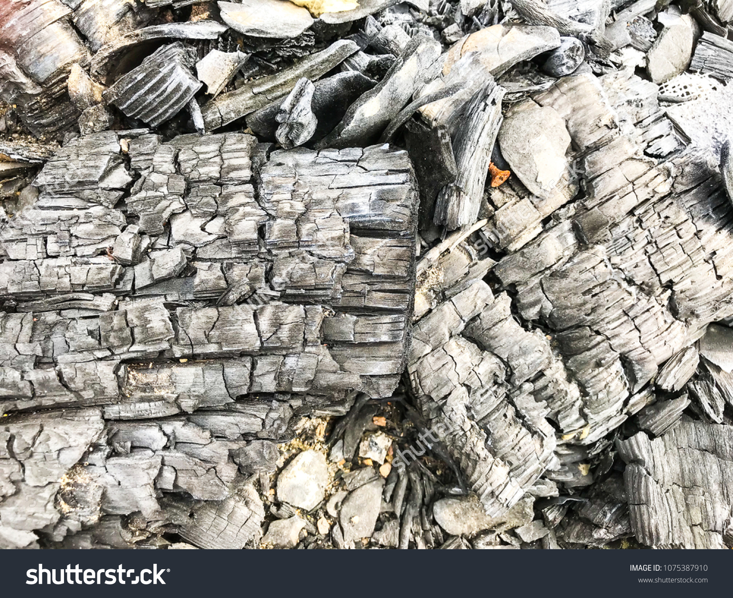 Burned Wooden Logs Firewood Fireplace Coals Stock Photo Edit Now