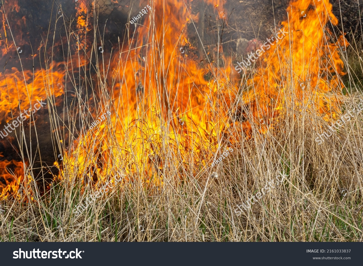 7 813 Burning Old Grass 이미지 스톡 사진 및 벡터 Shutterstock