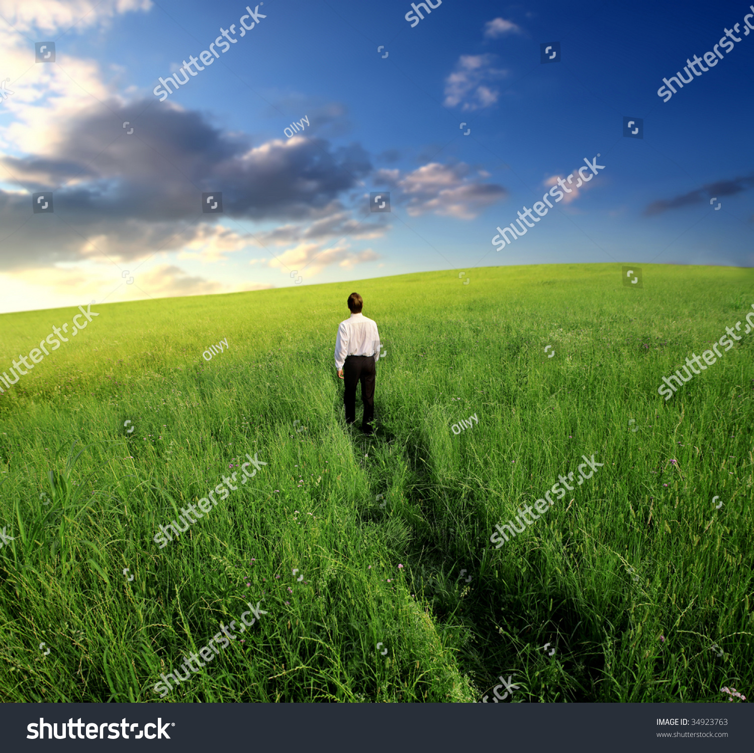 Business Man Walking Trough Grass Field Stock Photo 34923763 : Shutterstock