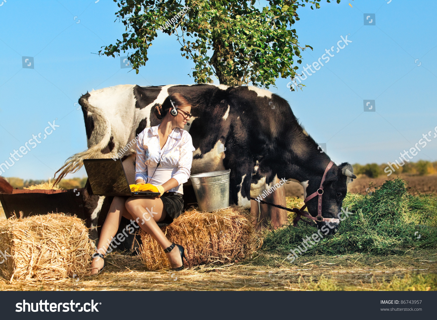 Business Woman Laptop Milking Cow On Stock Photo 86743957 - Shutterstock