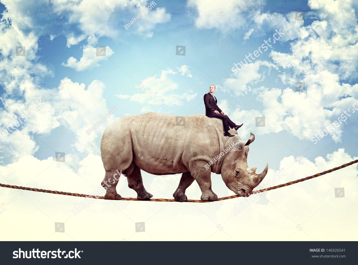 rhino rope
