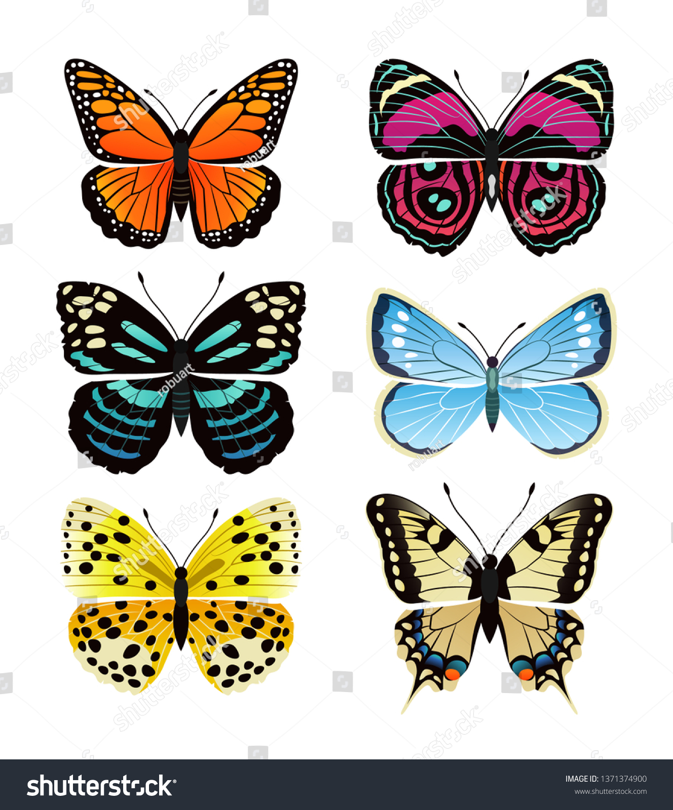 Butterflies Types Collection Colorful Wings Antennas Stock Illustration ...