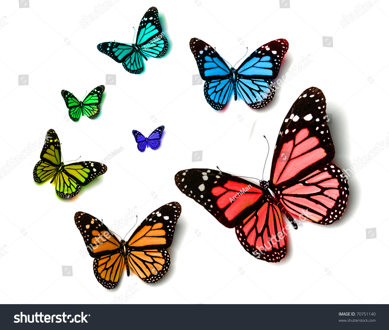 Butterfly Stock Photo 70751140 : Shutterstock