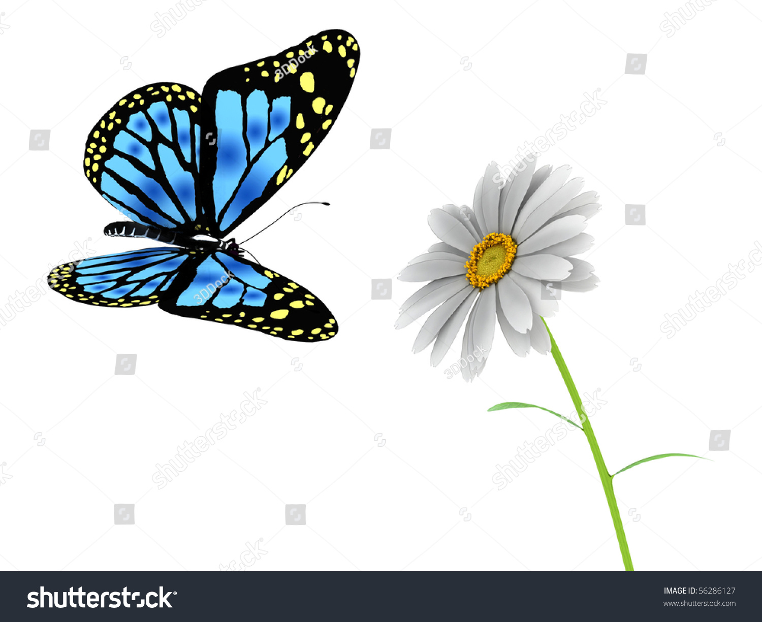 Butterfly And Daisy On White Background Stock Photo 56286127 : Shutterstock