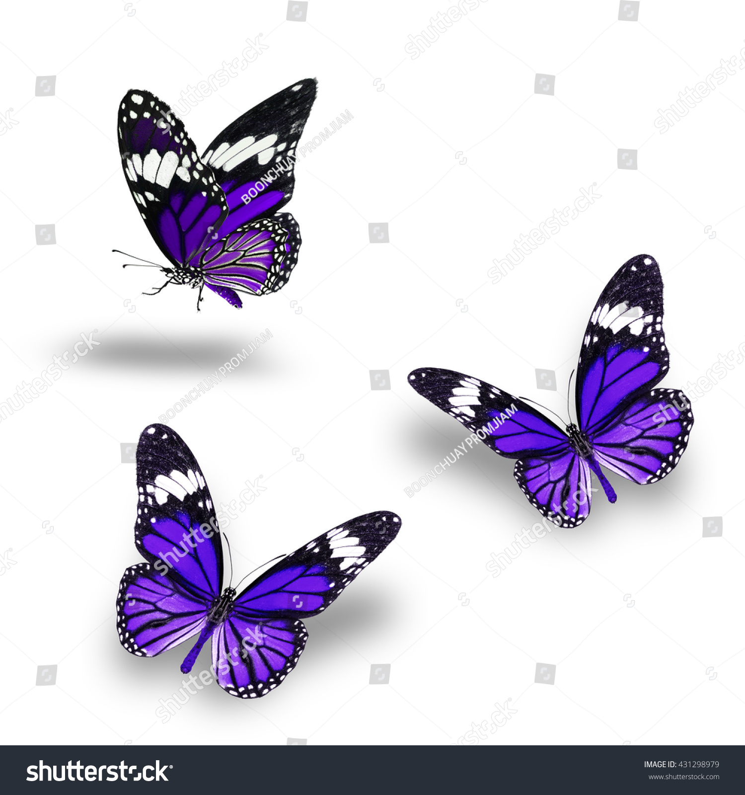 Butterfly Set Beautiful Purple Butterflies Flying Stock Photo 431298979 ...