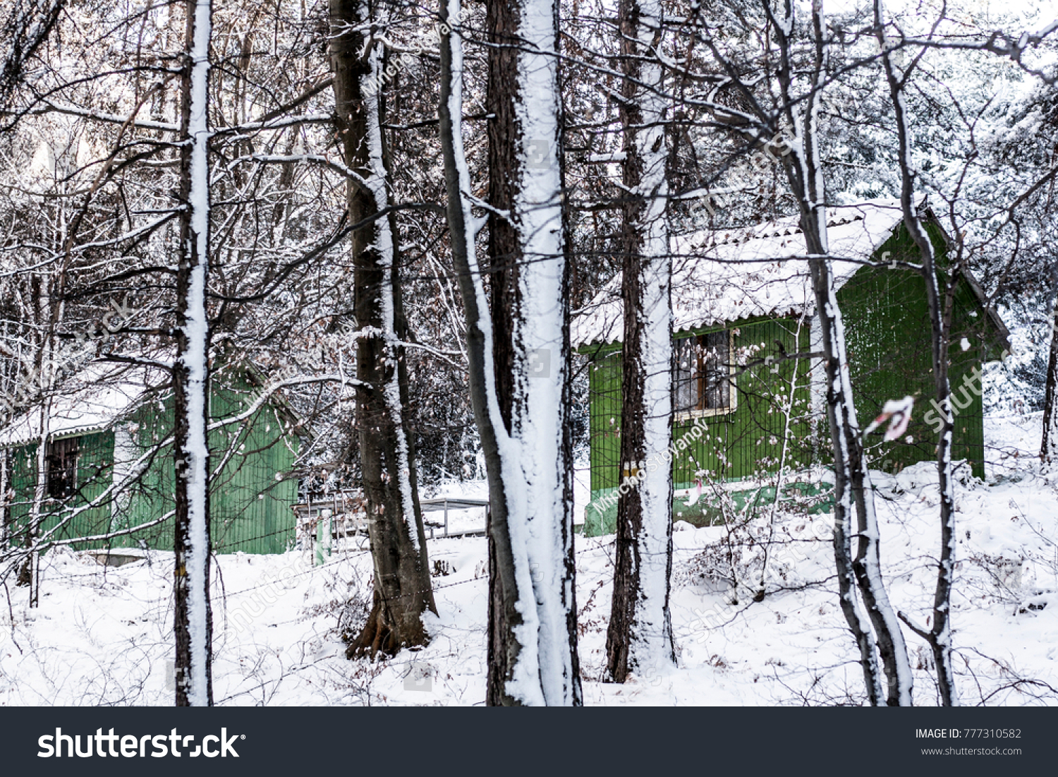 Cabin Woods Winter Revealing Otherwise Well Stock Photo Edit Now