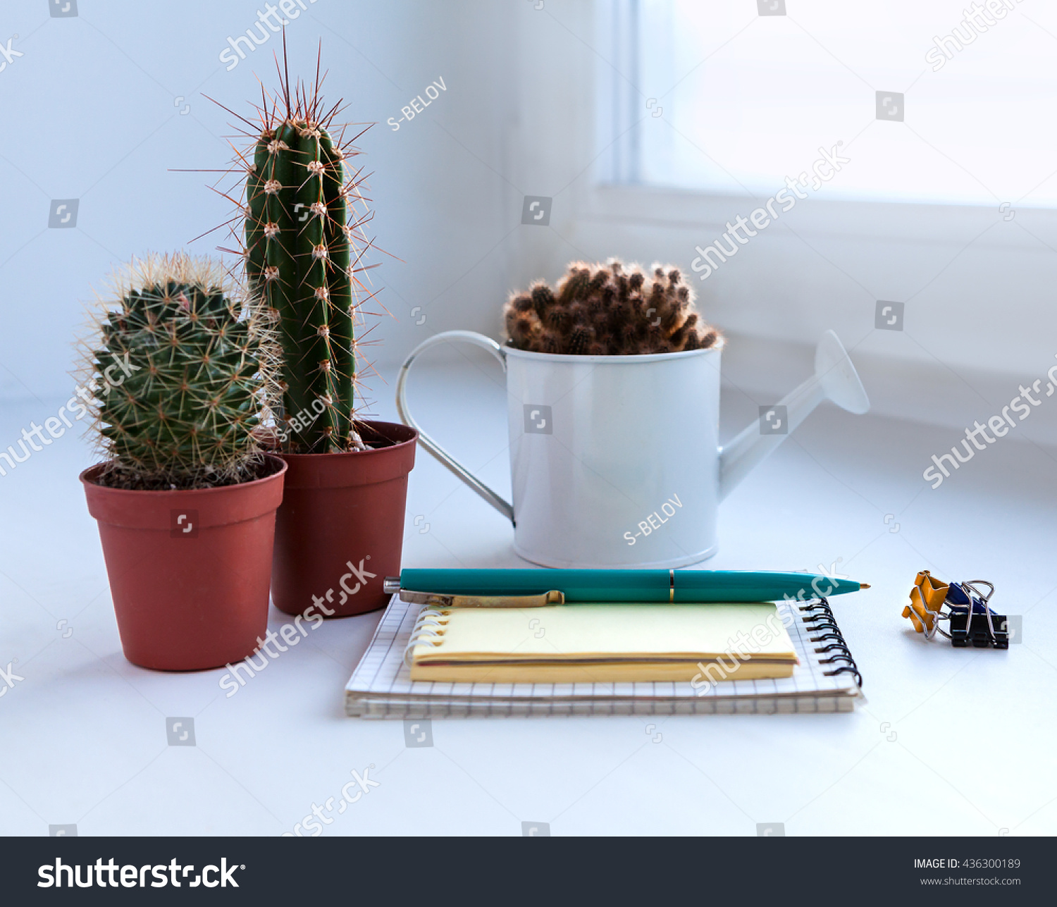 Cactus Notebook Pen On Windowsill Stock Photo Edit Now 436300189