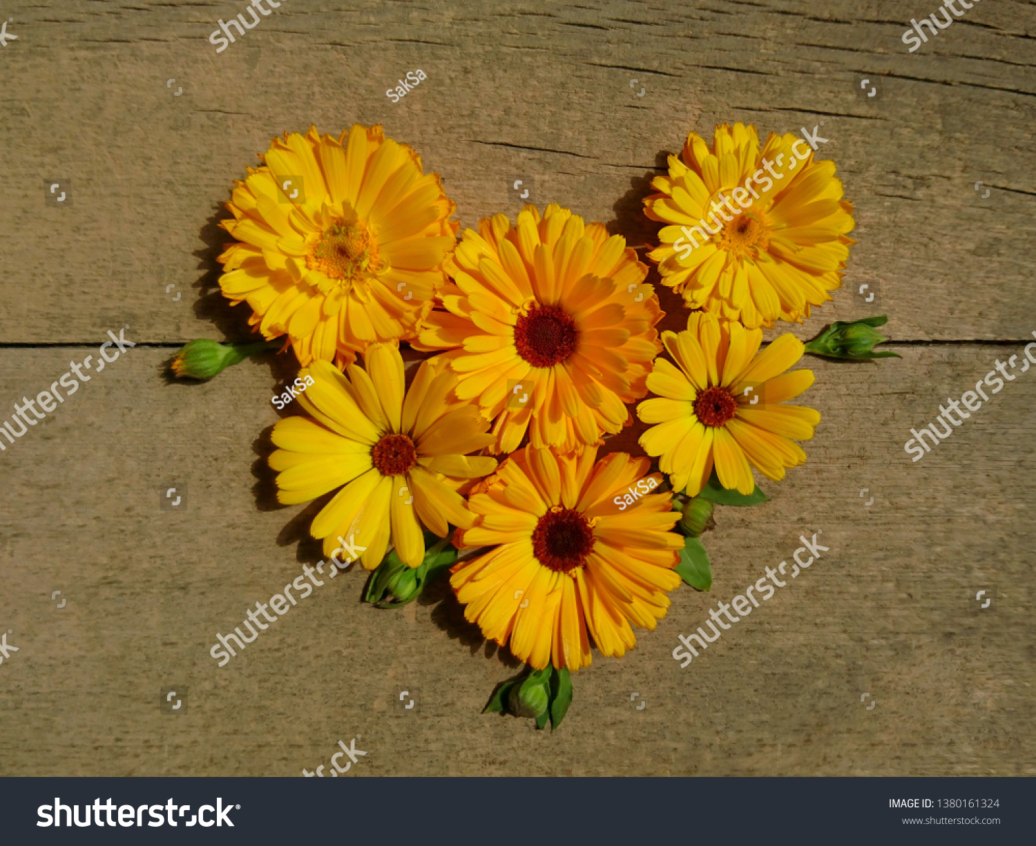 Calendula Heart Marigold Flower Bud Htop Stock Photo Edit Now 1380161324