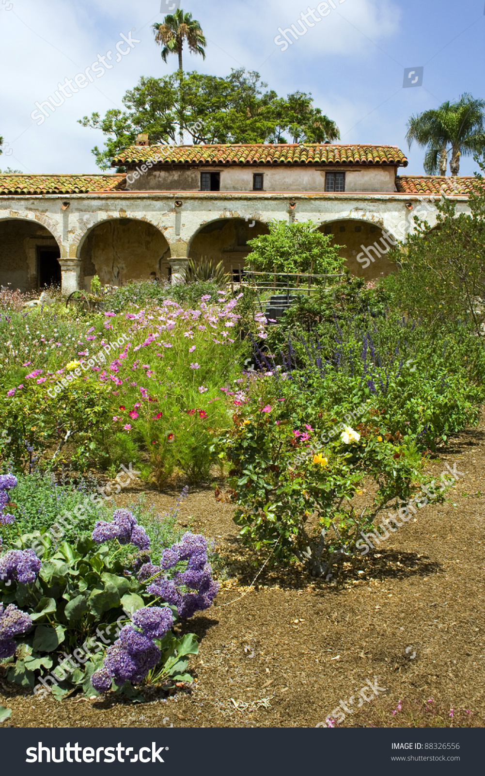 California Mission Gardens At San Juan Capistrano Stock Photo 88326556 ...